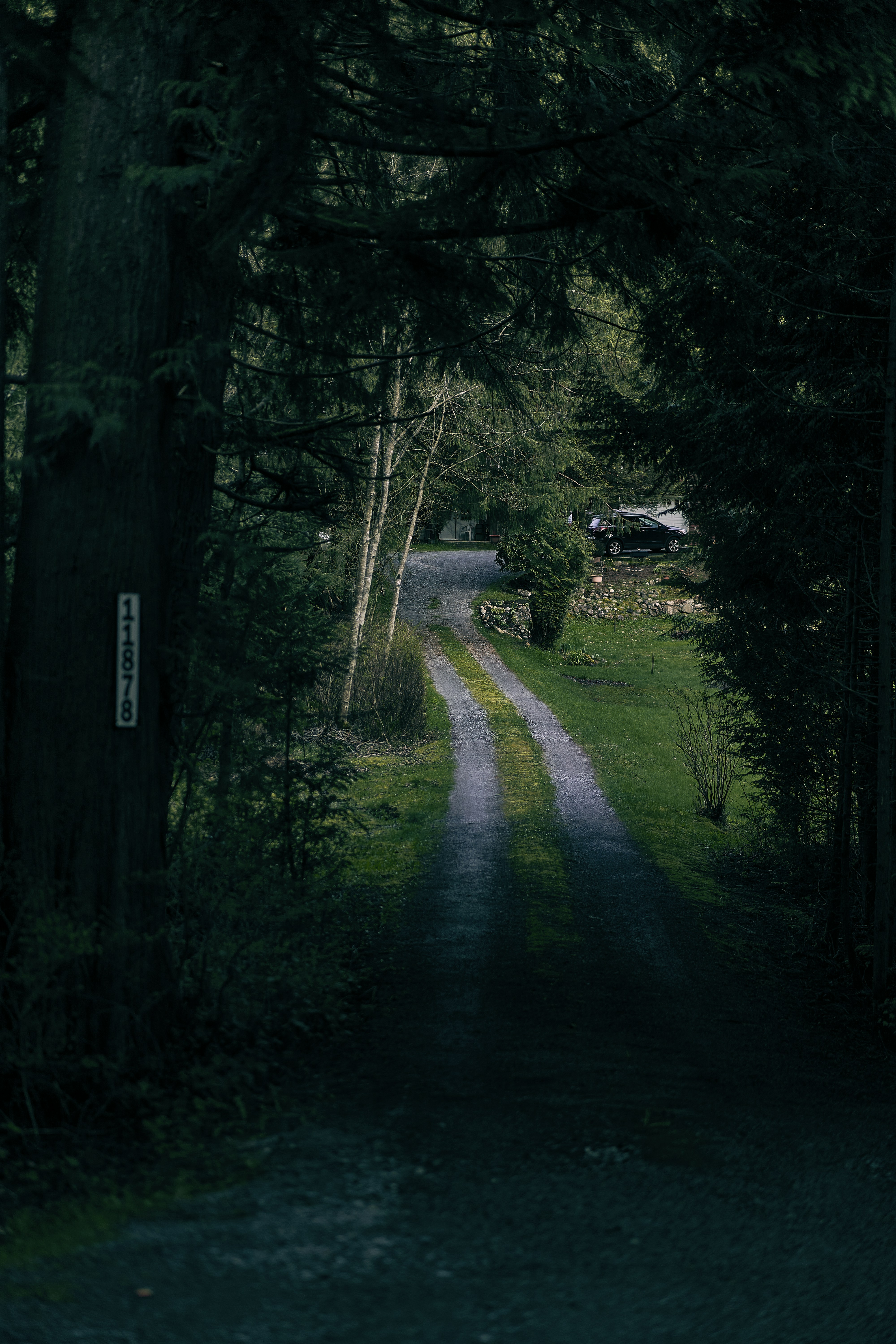 Photo by suicide_chewbacca