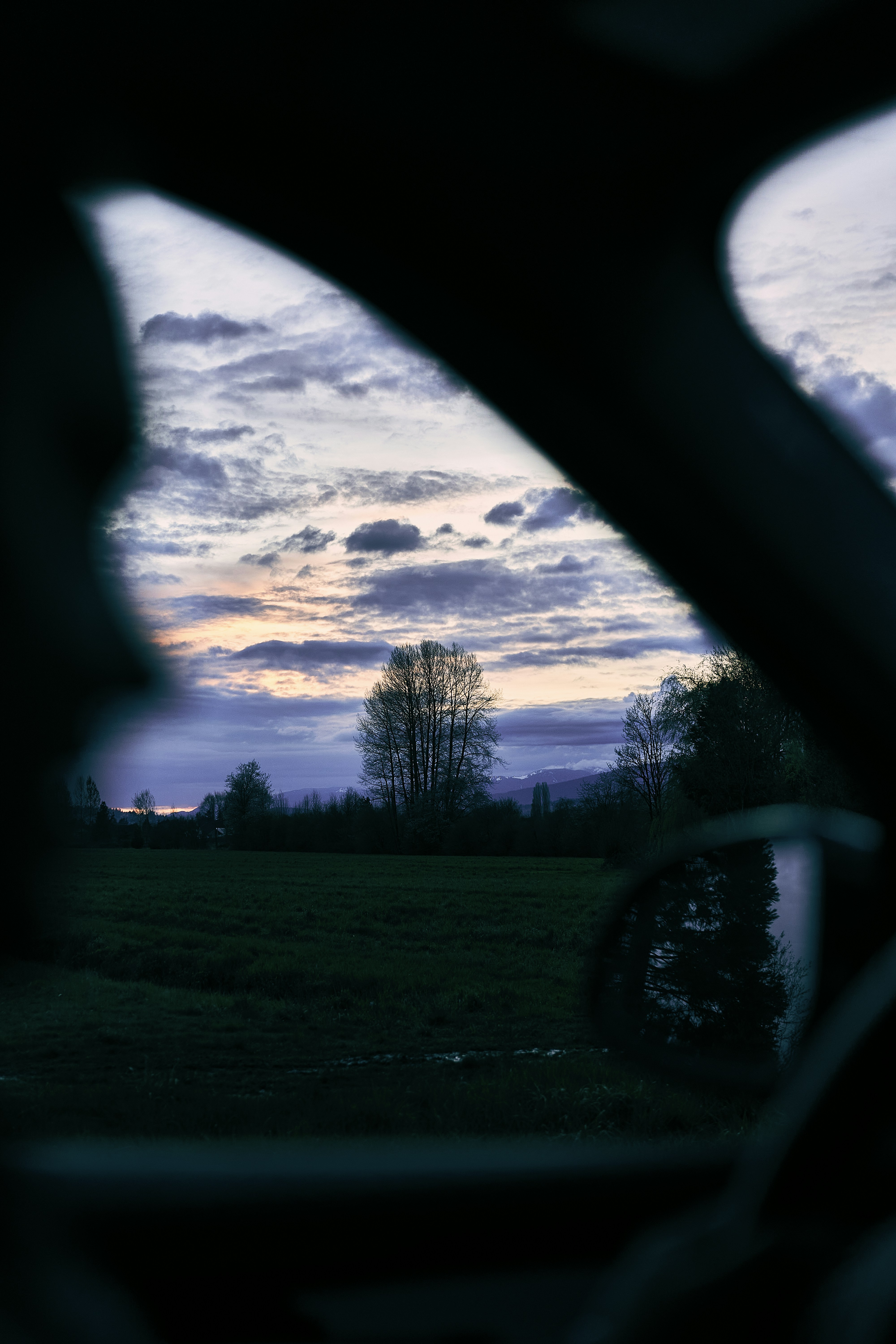 Photo by suicide_chewbacca