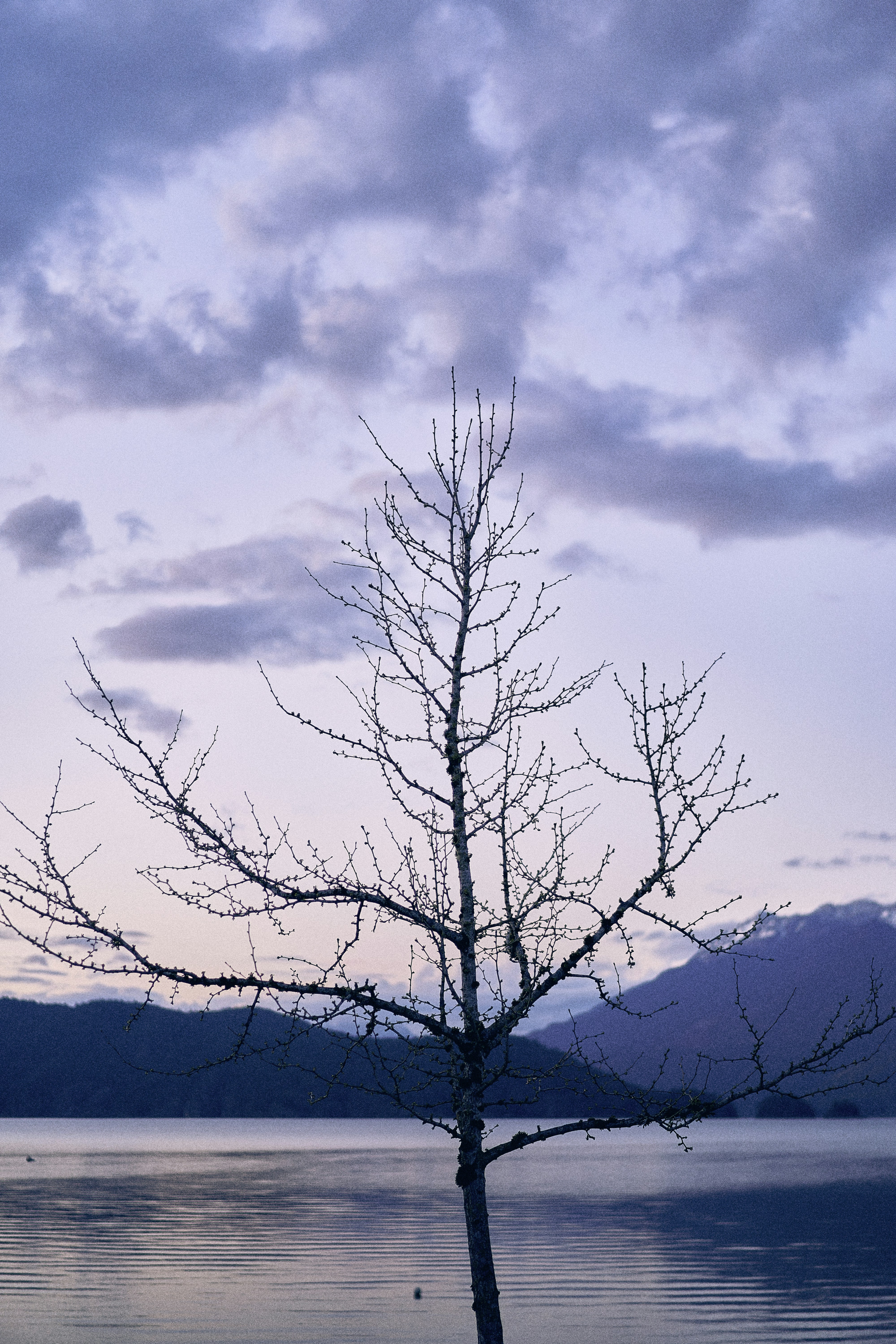 Photograph by Ashwini Chaudhary