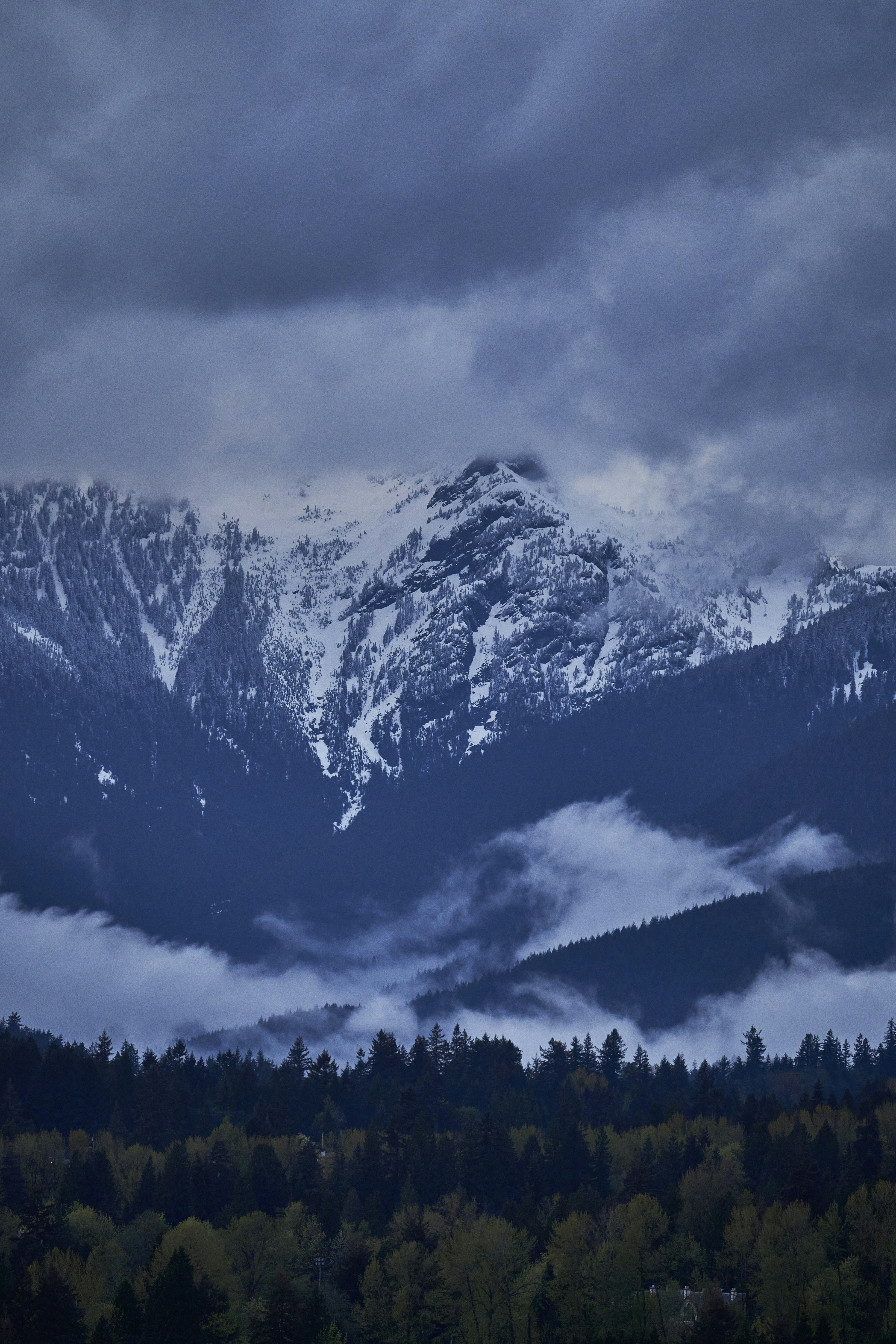 Photo by suicide_chewbacca