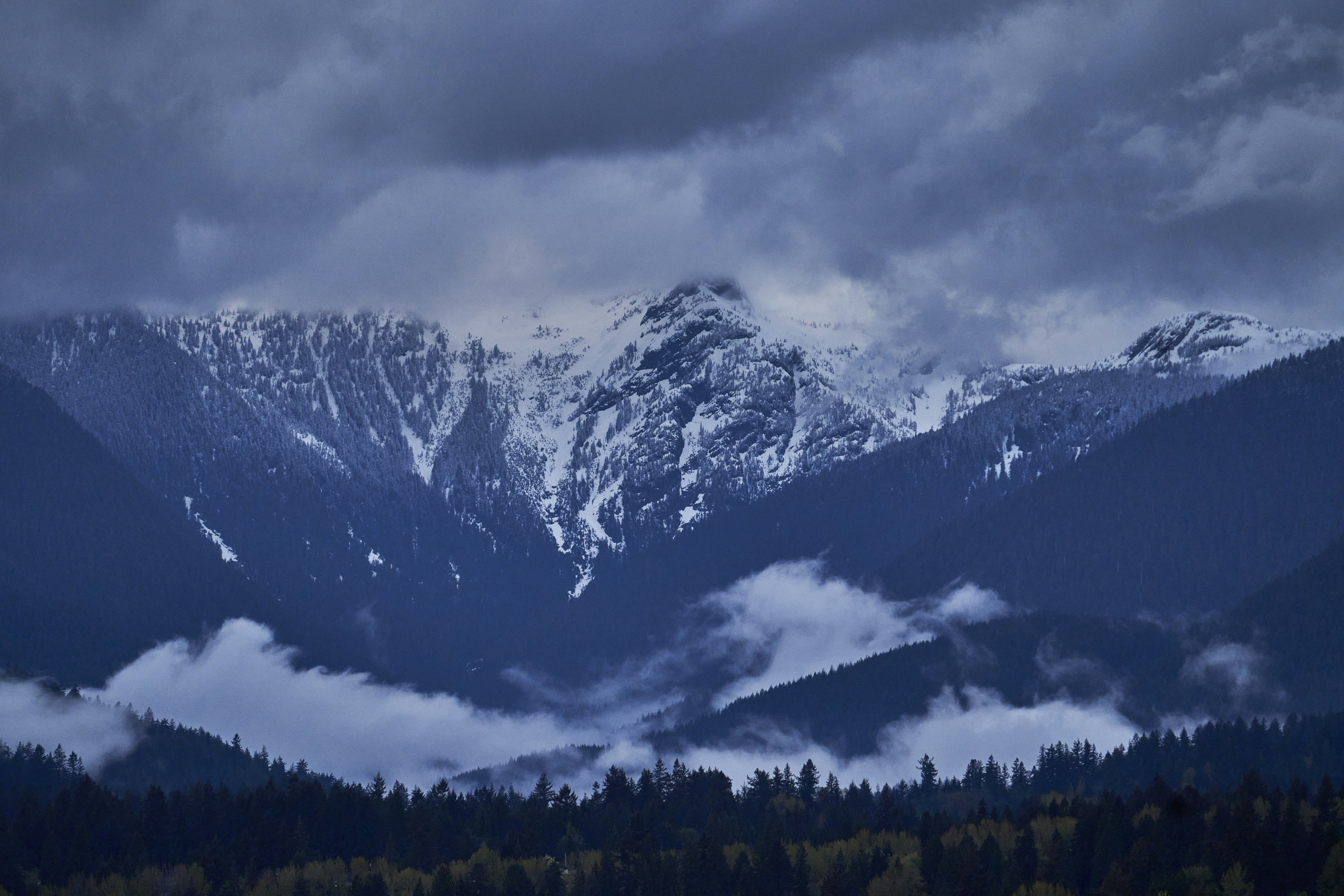 Photo by suicide_chewbacca