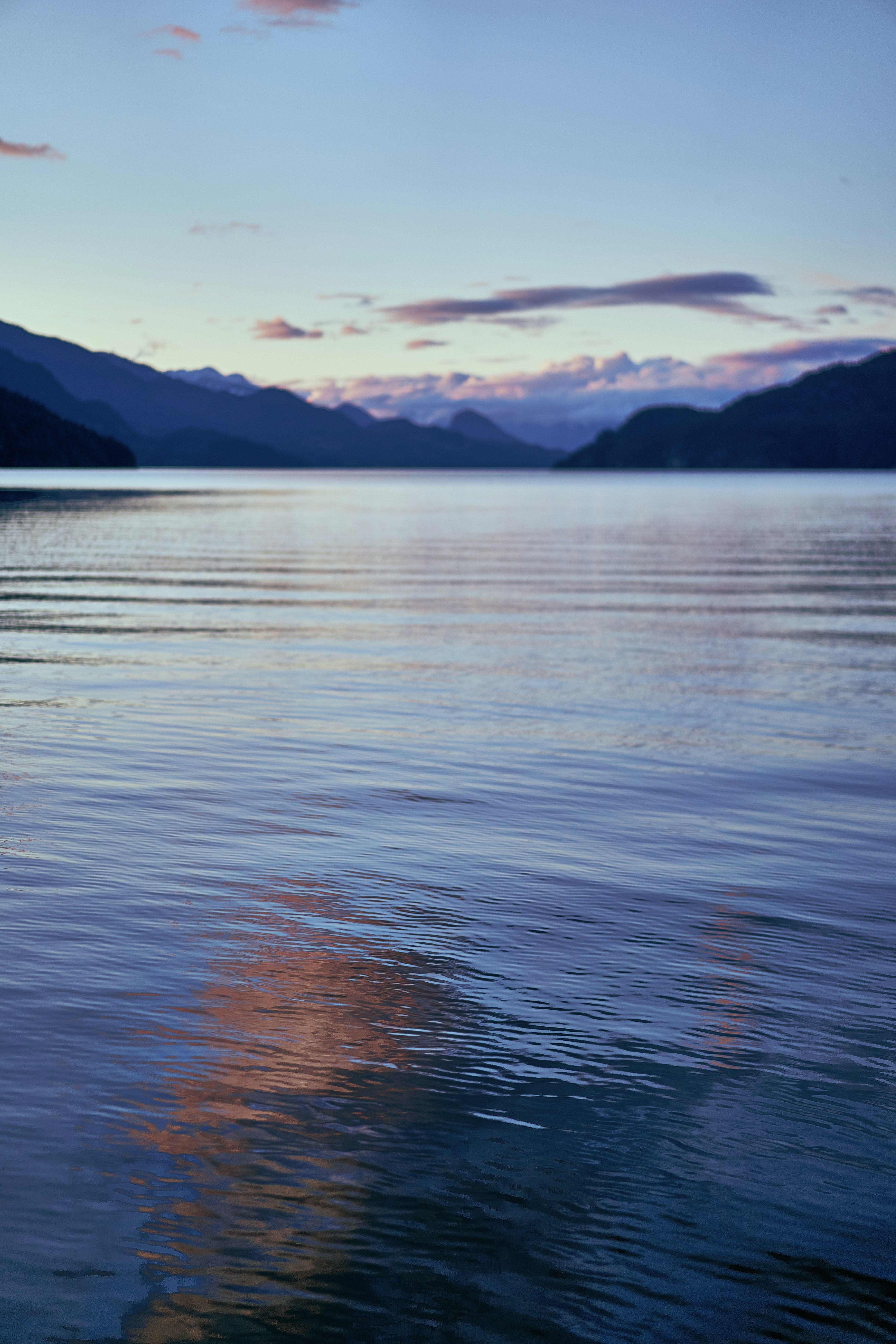 Photo by suicide_chewbacca