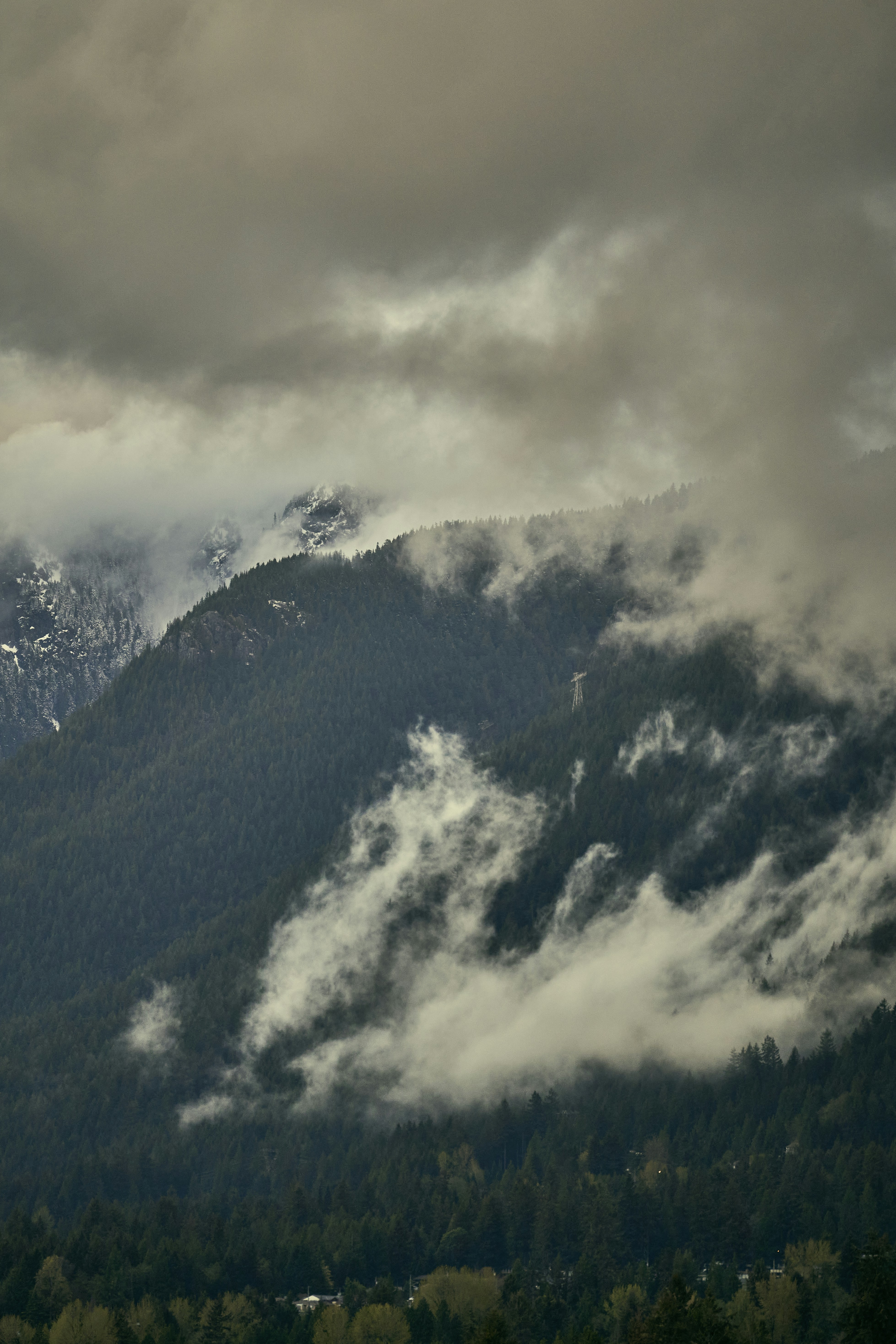 Photo by suicide_chewbacca