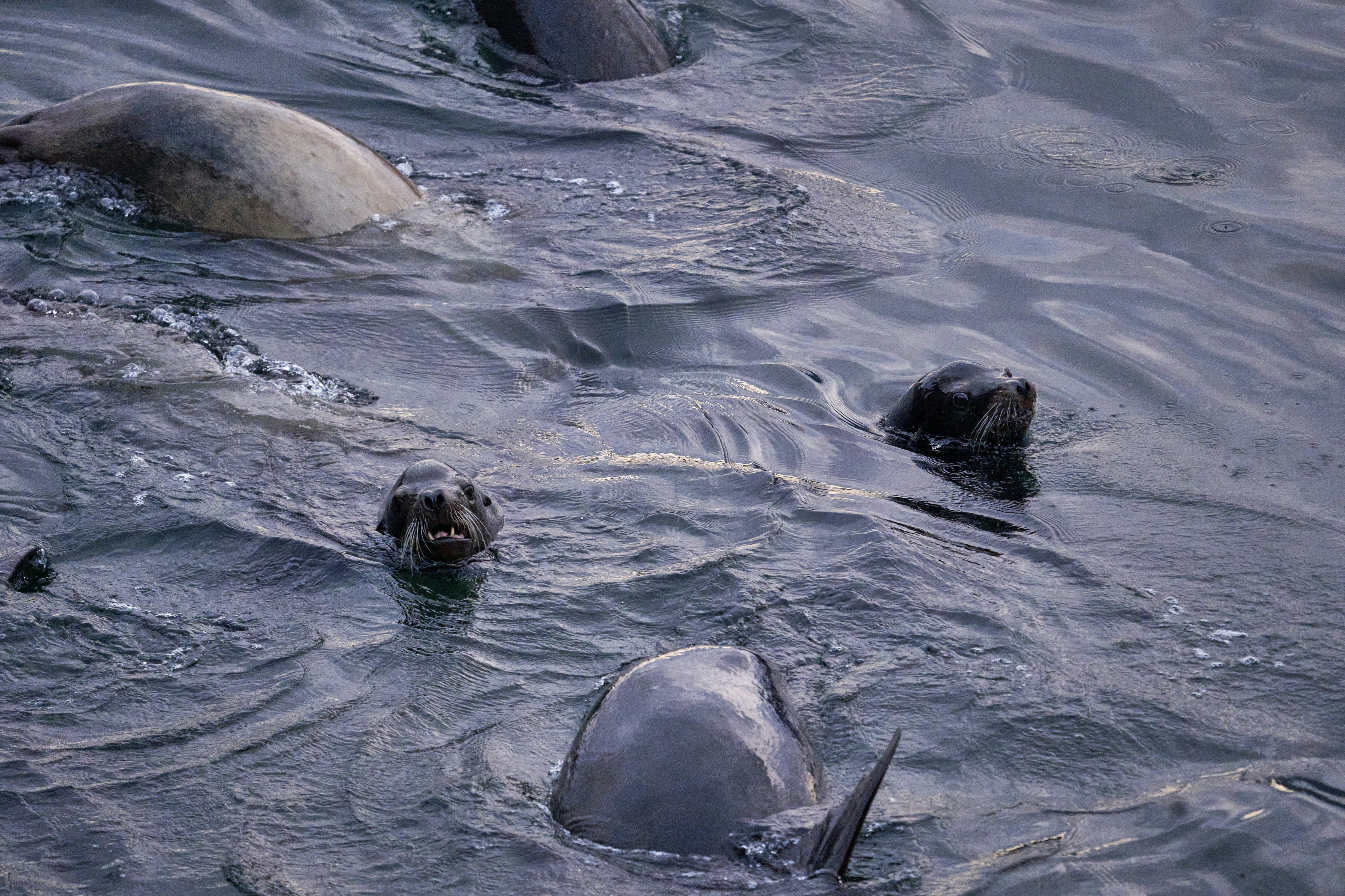 Photo by suicide_chewbacca