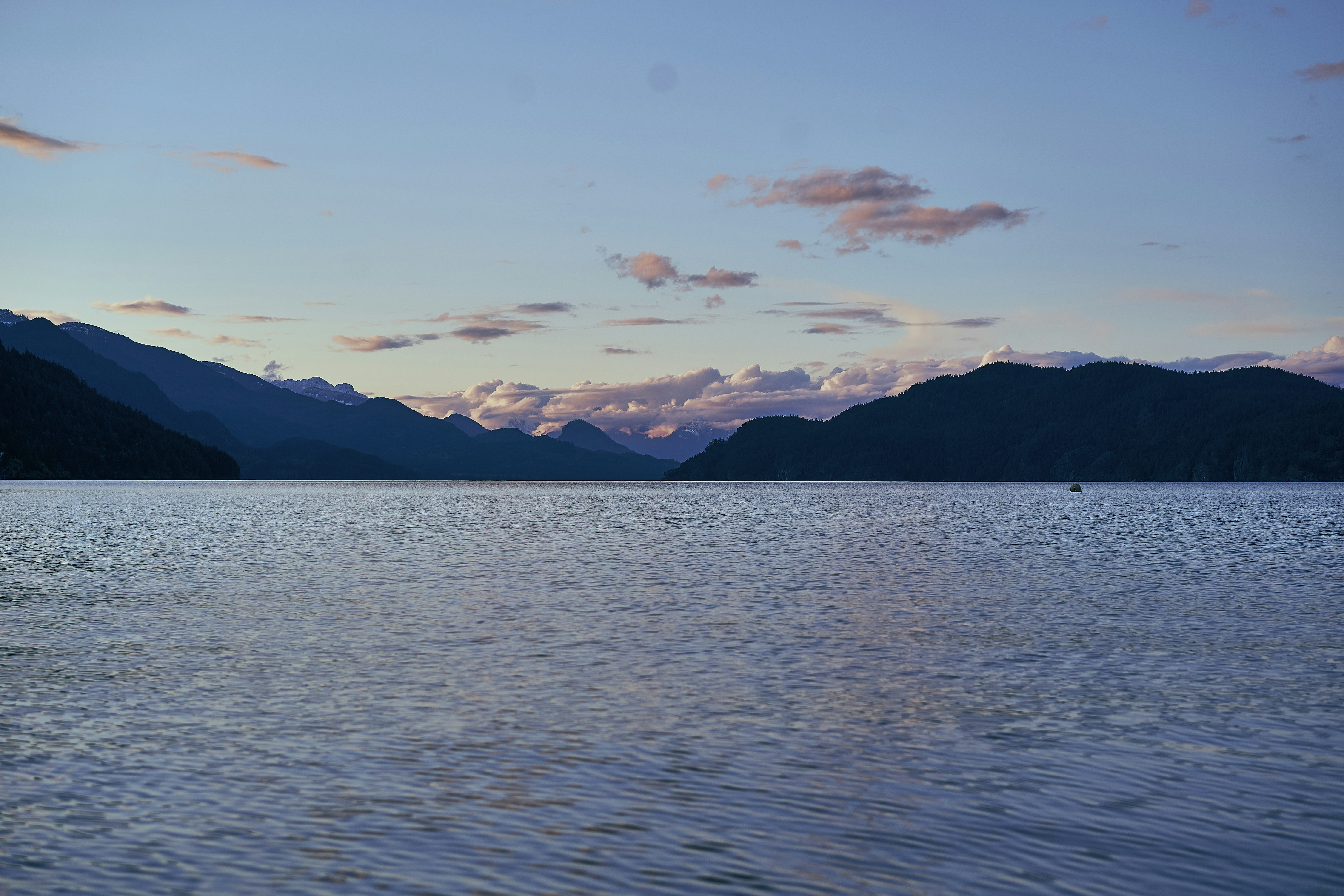 Photo by suicide_chewbacca