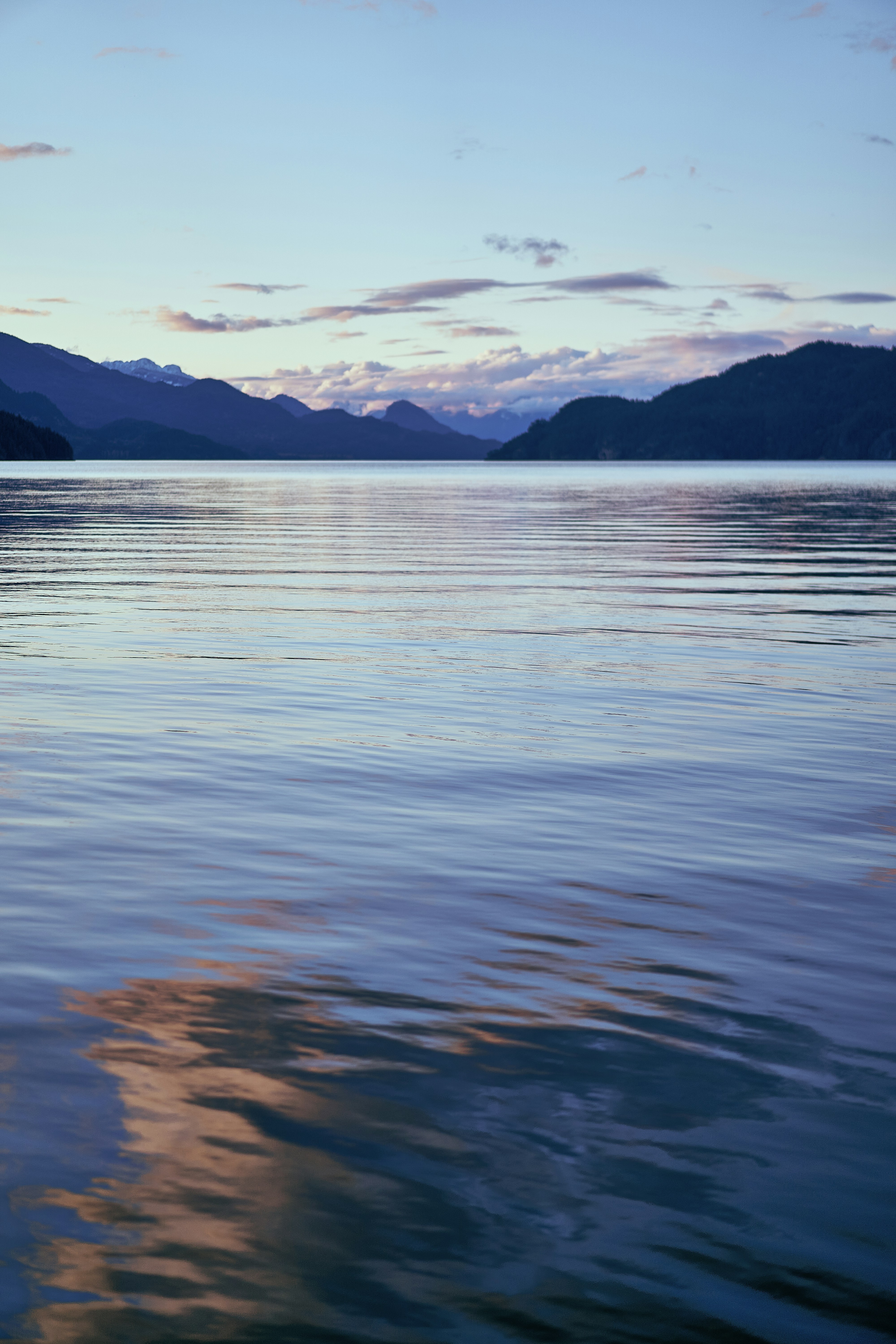 Photo by suicide_chewbacca