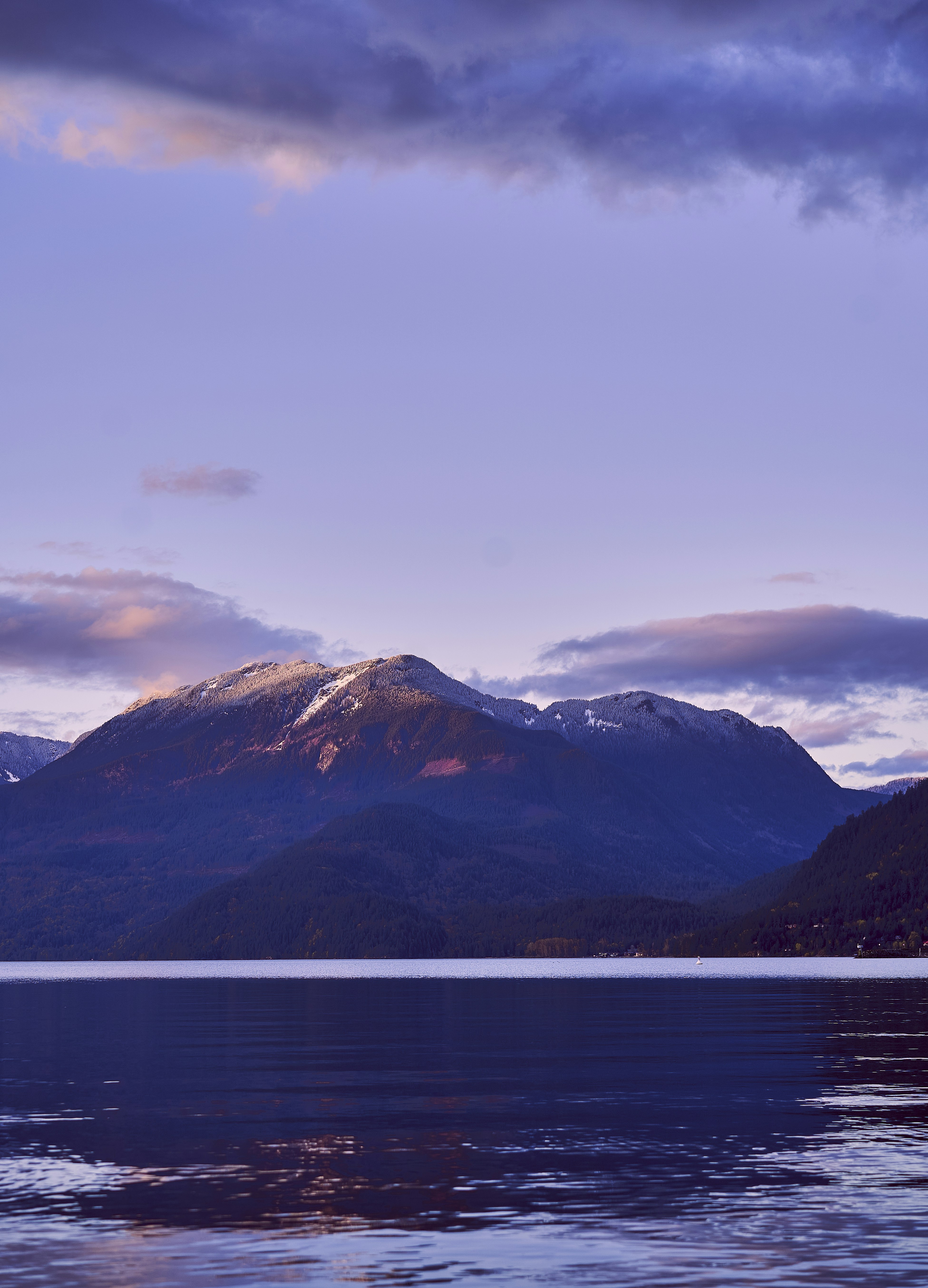 Photo by suicide_chewbacca