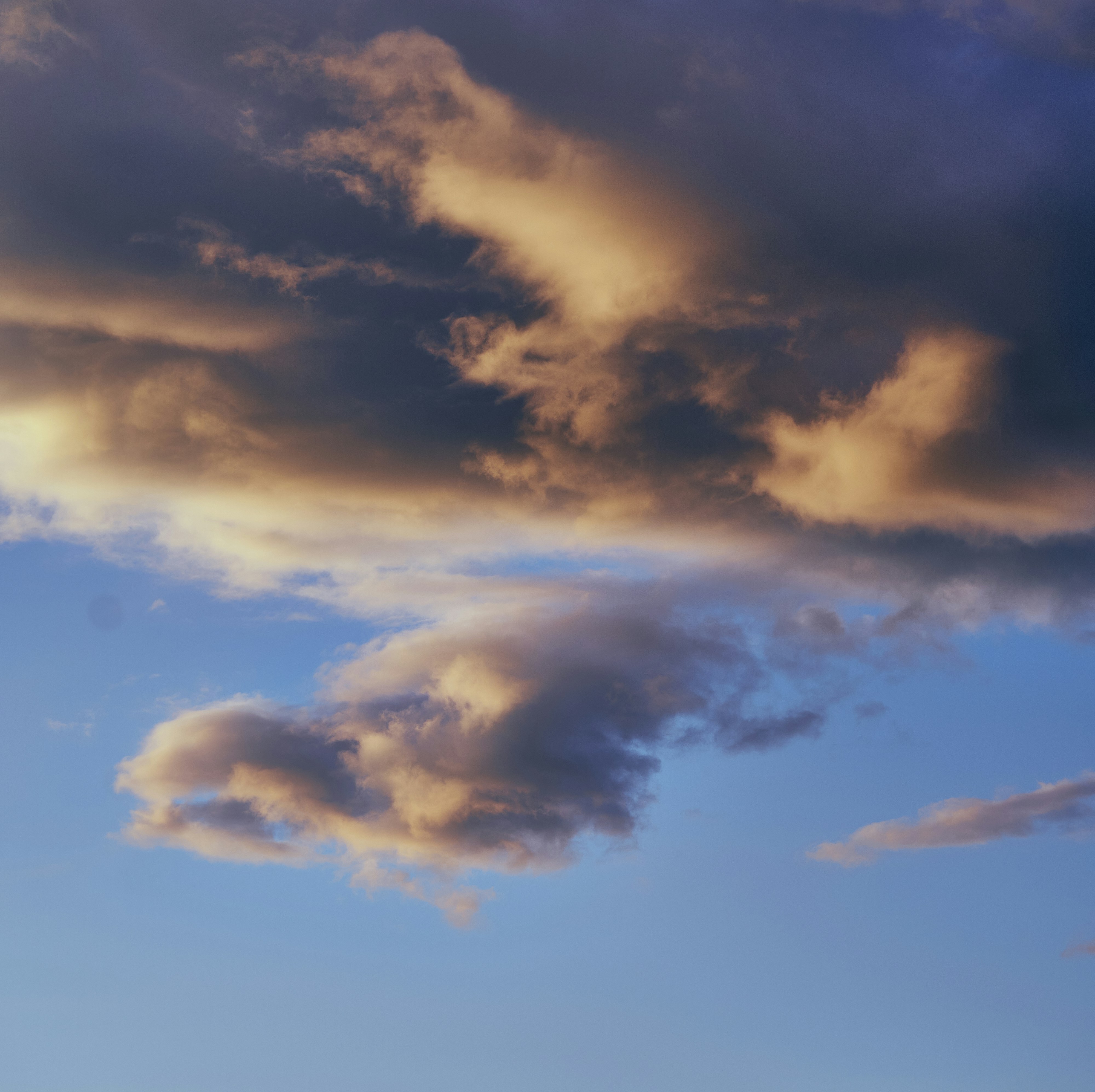 Photo by suicide_chewbacca