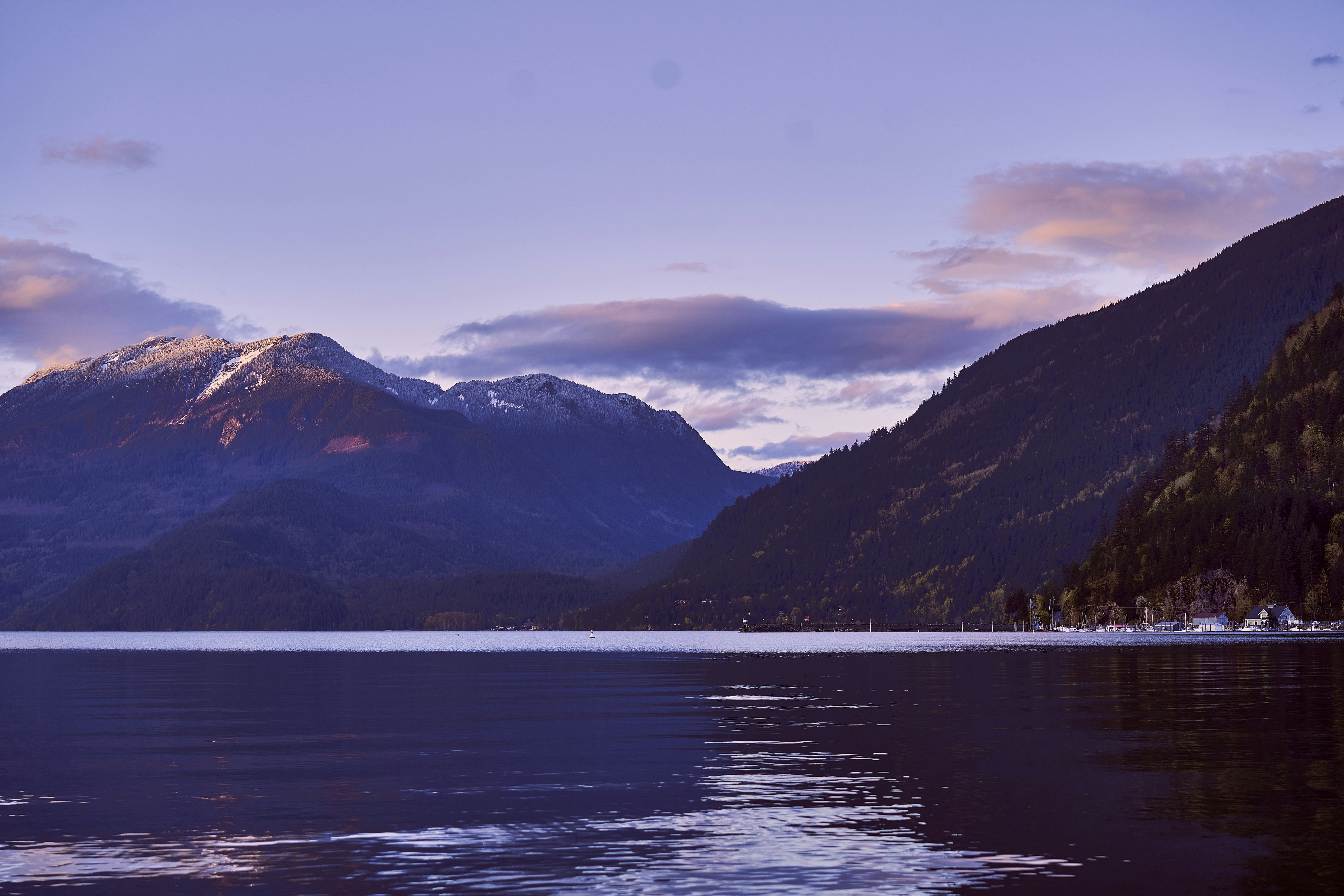 Photo by suicide_chewbacca