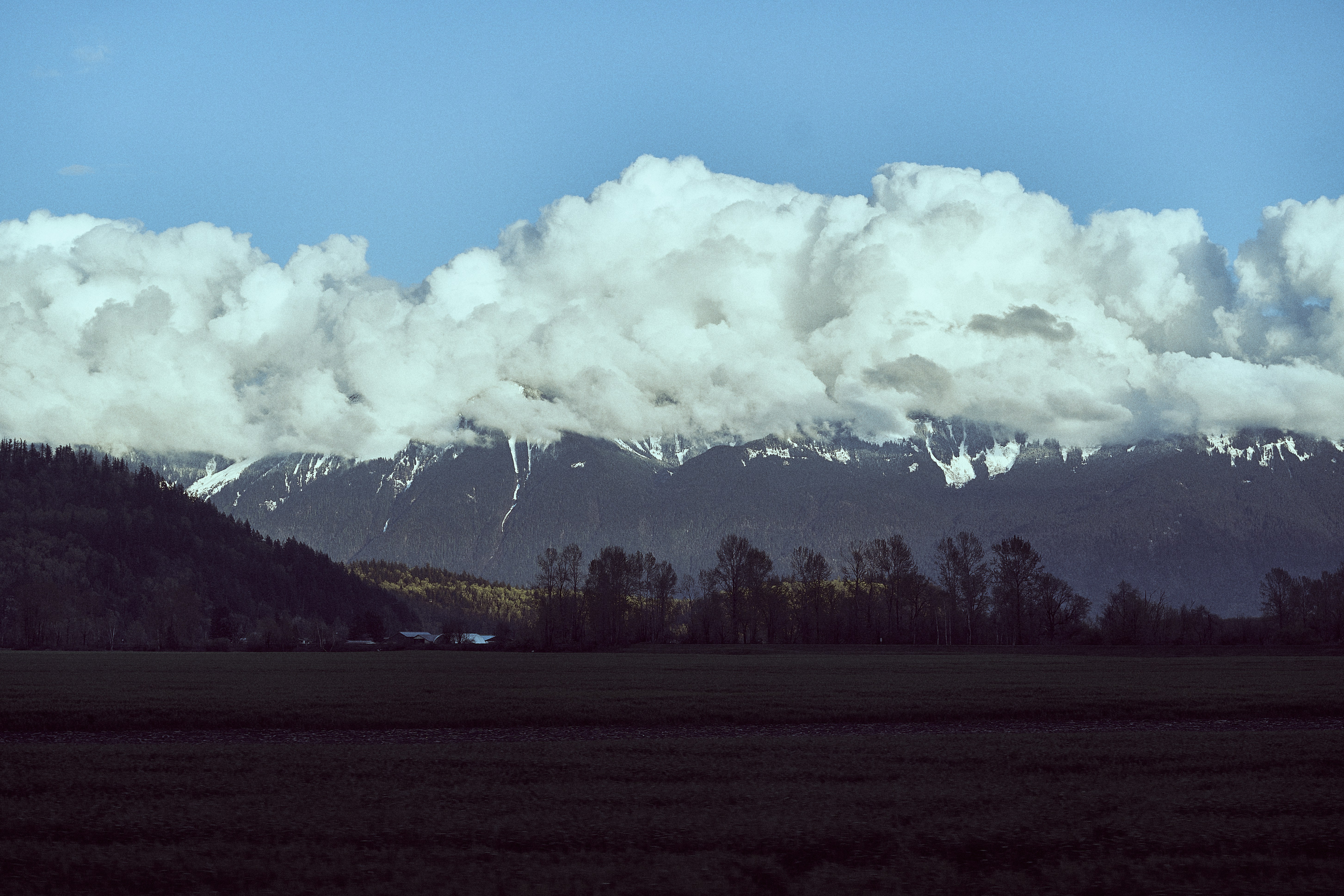 Photo by suicide_chewbacca