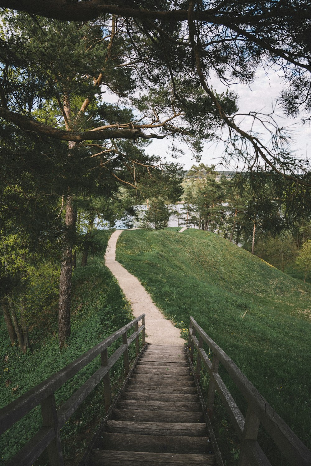 a wooden bridge over a grassy hill