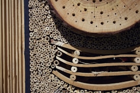 An intricate design featuring a variety of natural materials, including a cross-section of a tree trunk with drilled holes, surrounded by bundles of hollow bamboo tubes. Horizontal wooden slats add structural complexity, showcasing a blend of textures and circular patterns.