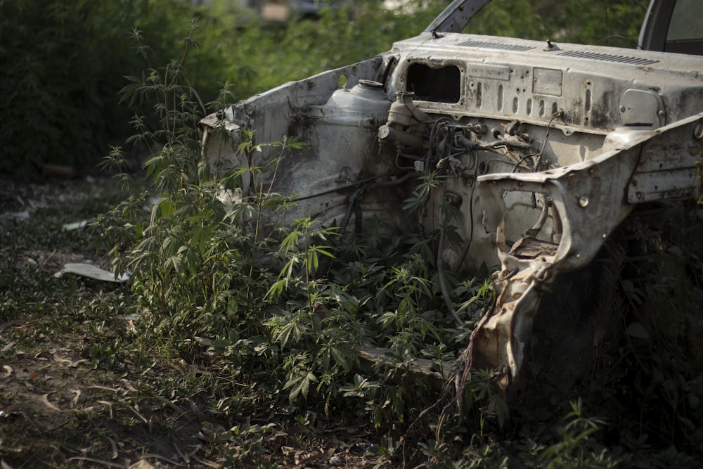 a tank in the grass