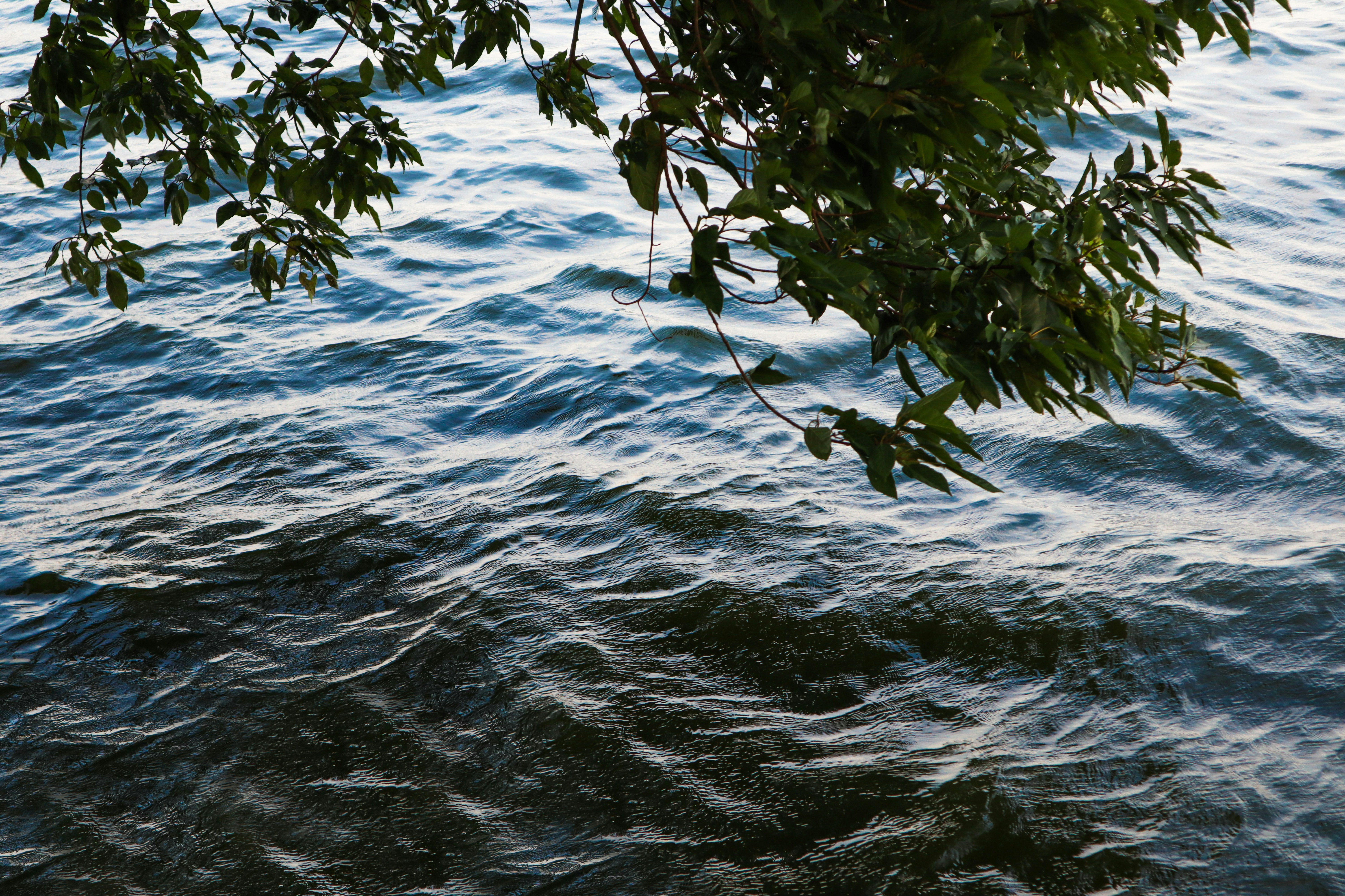 Photo by hann98_lowkey