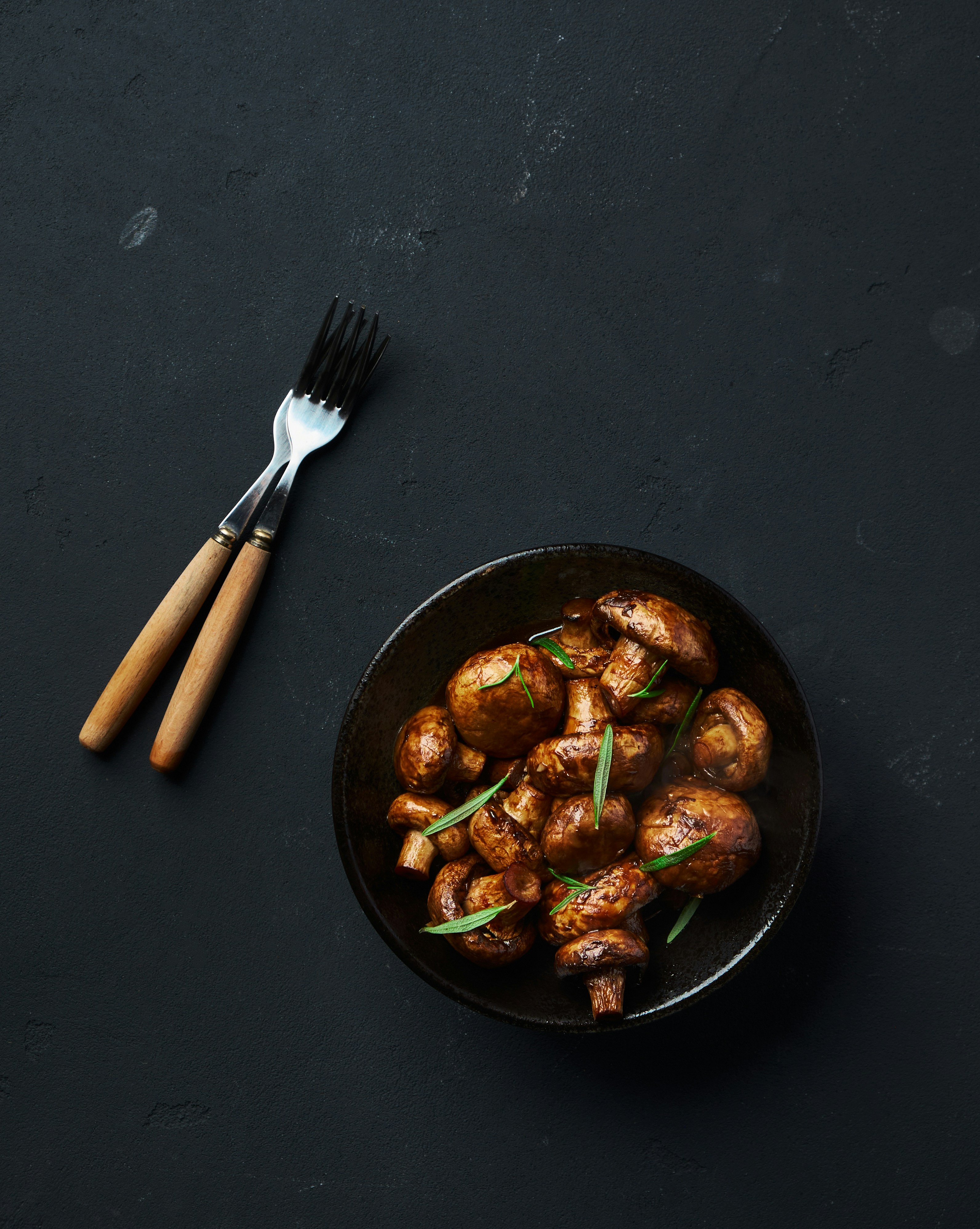 Ebooks e Video Aulas Paleo