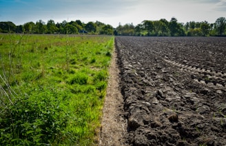 a field with dirt and grass
