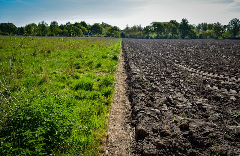 a field with dirt and grass