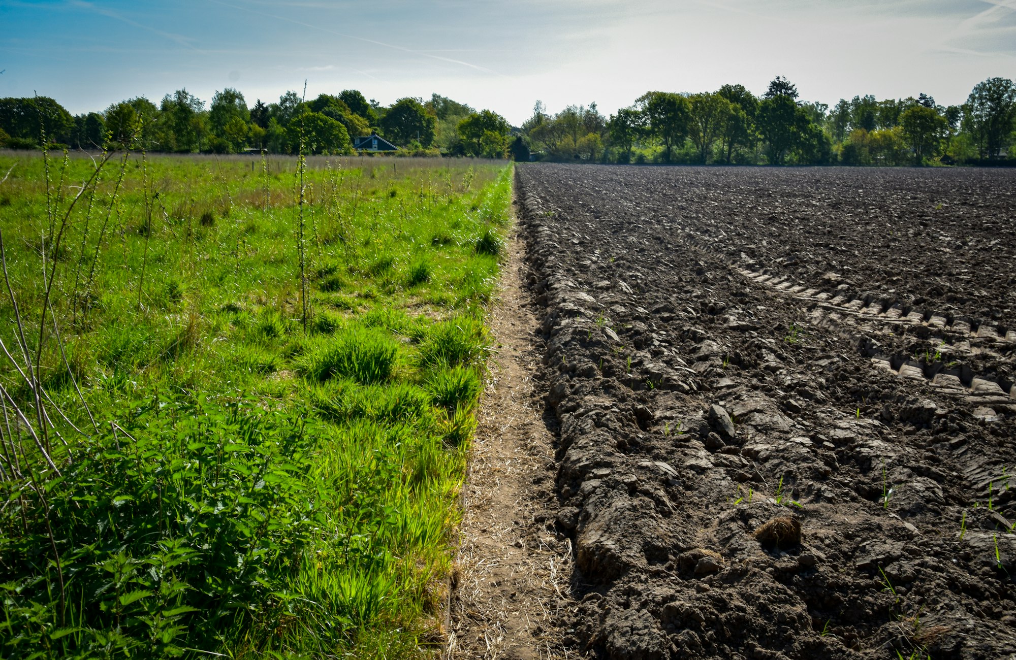 Striking difference in life capacity between our own field and our neighbours' field