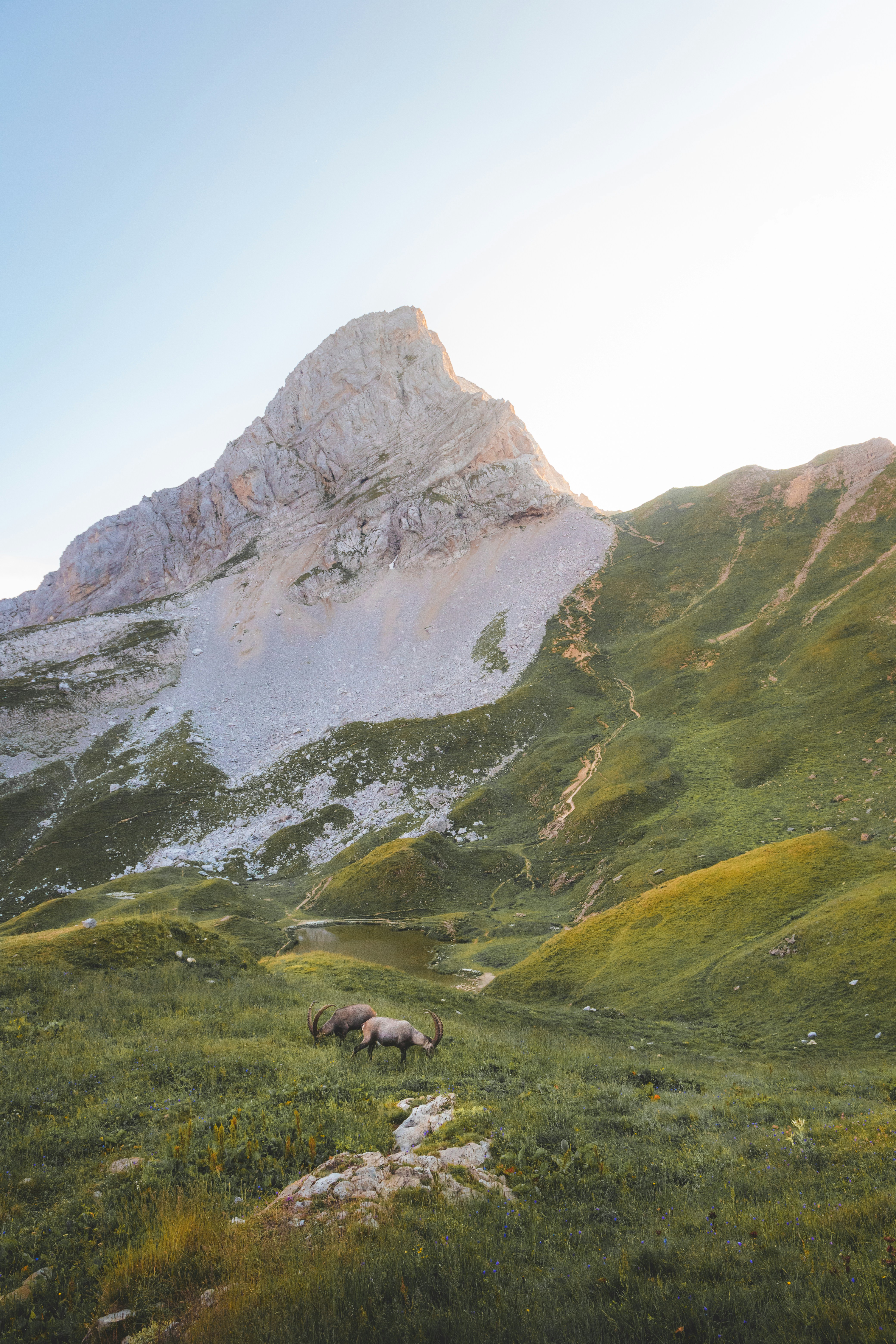 Alps mountains at sunset