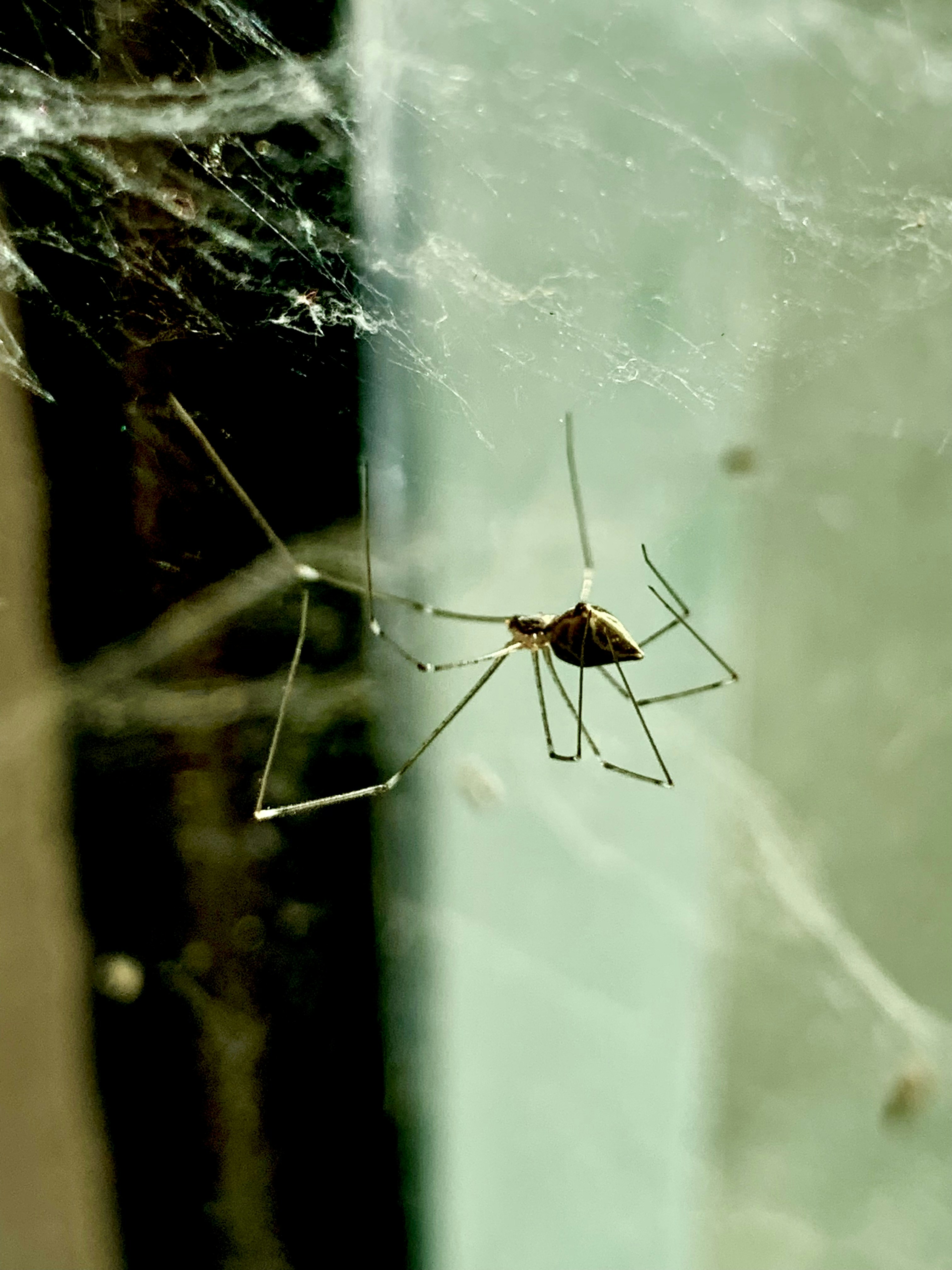 Photo by uchaturvedi