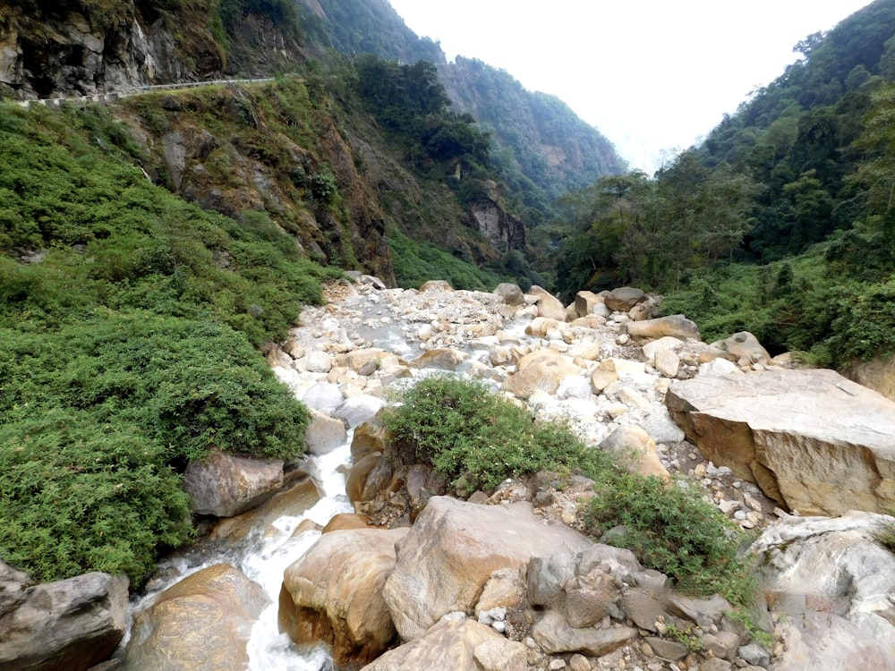 a river running through a rocky area
