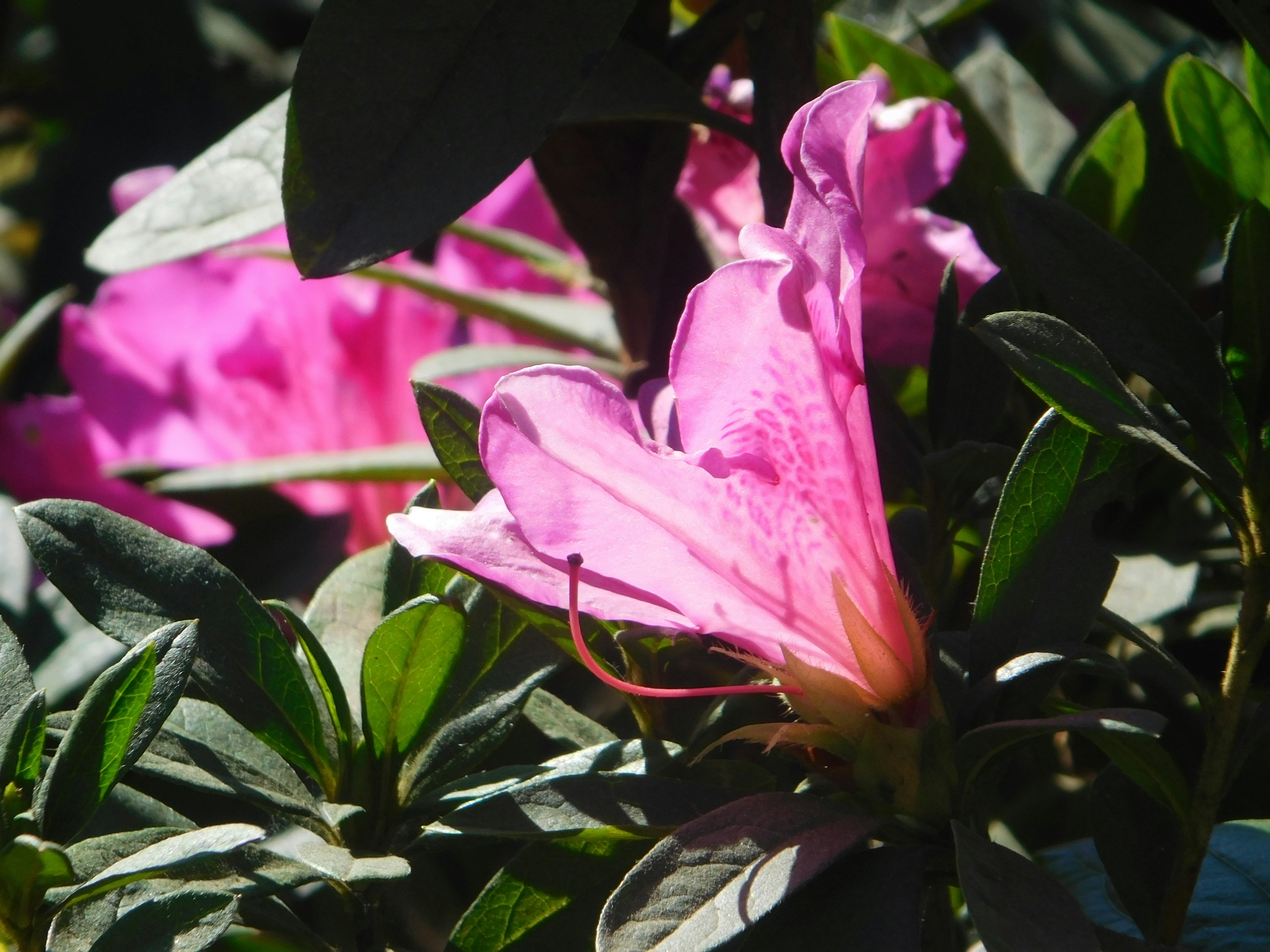 Photo by wrishi2004m