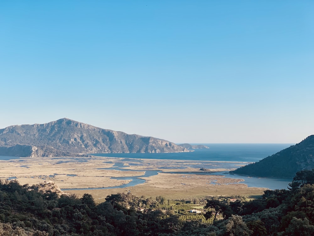 a beach with trees and a mountain in the background