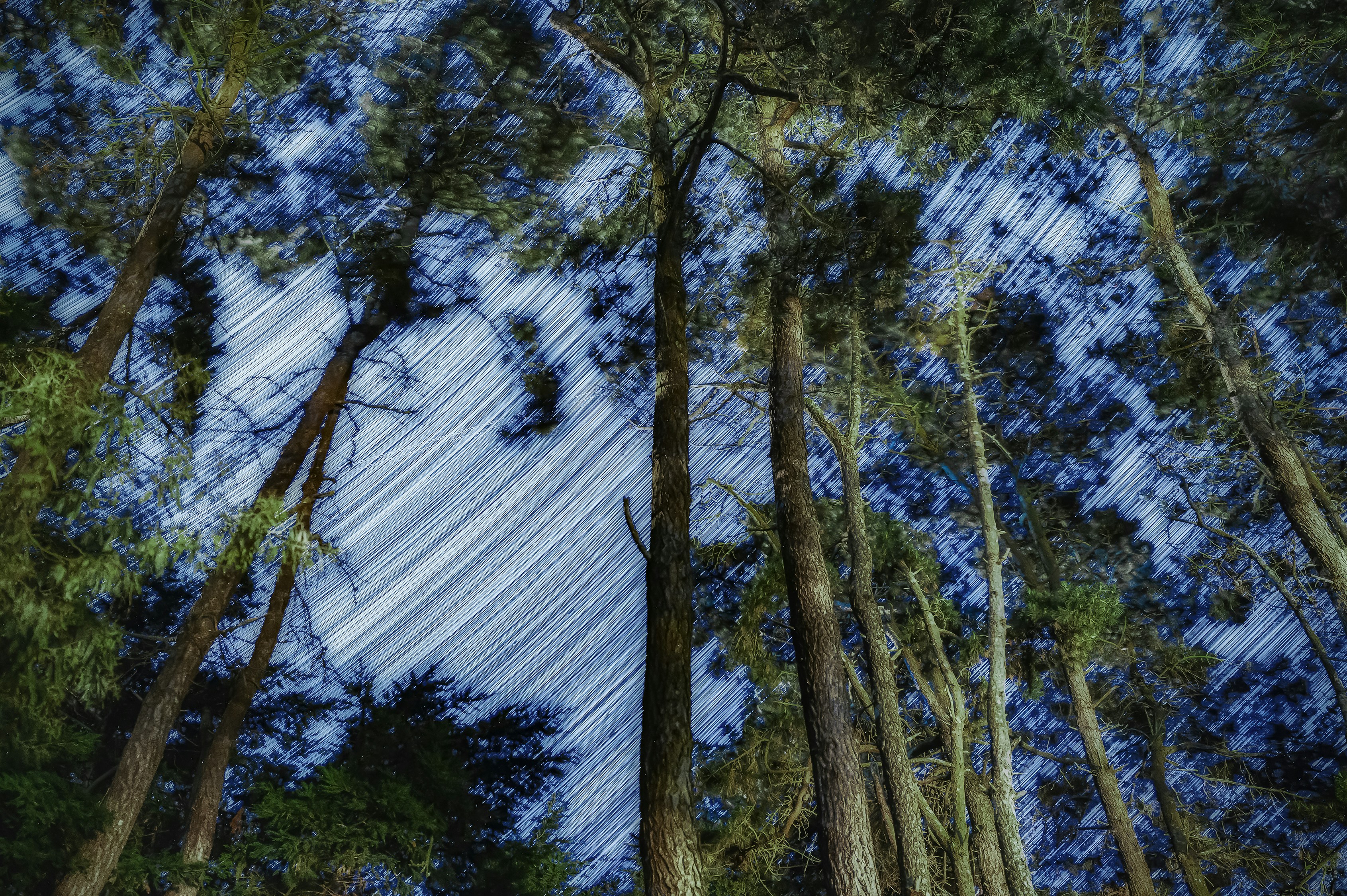 Photo by arizonanthony