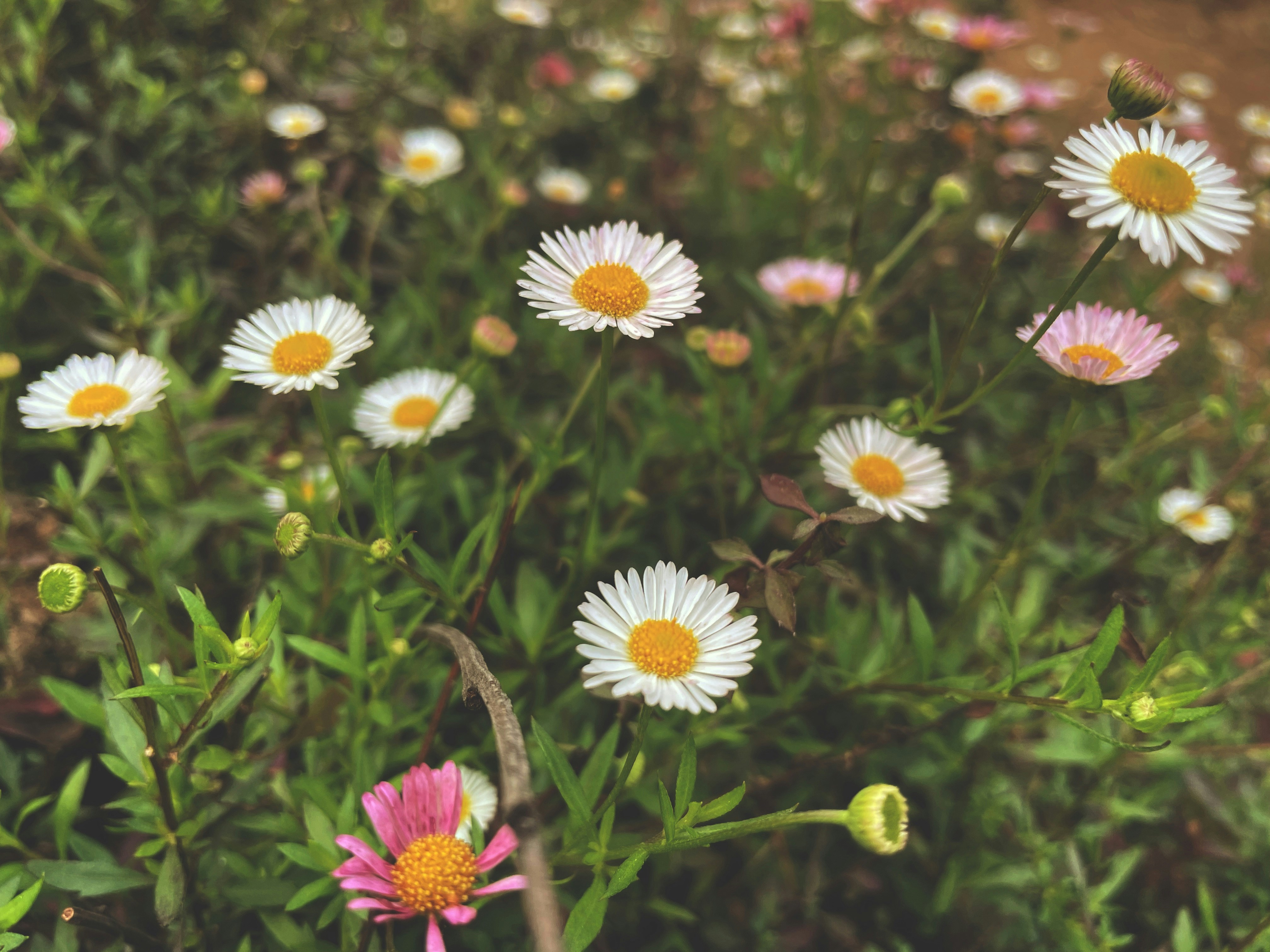 Photo by illiteratewriter