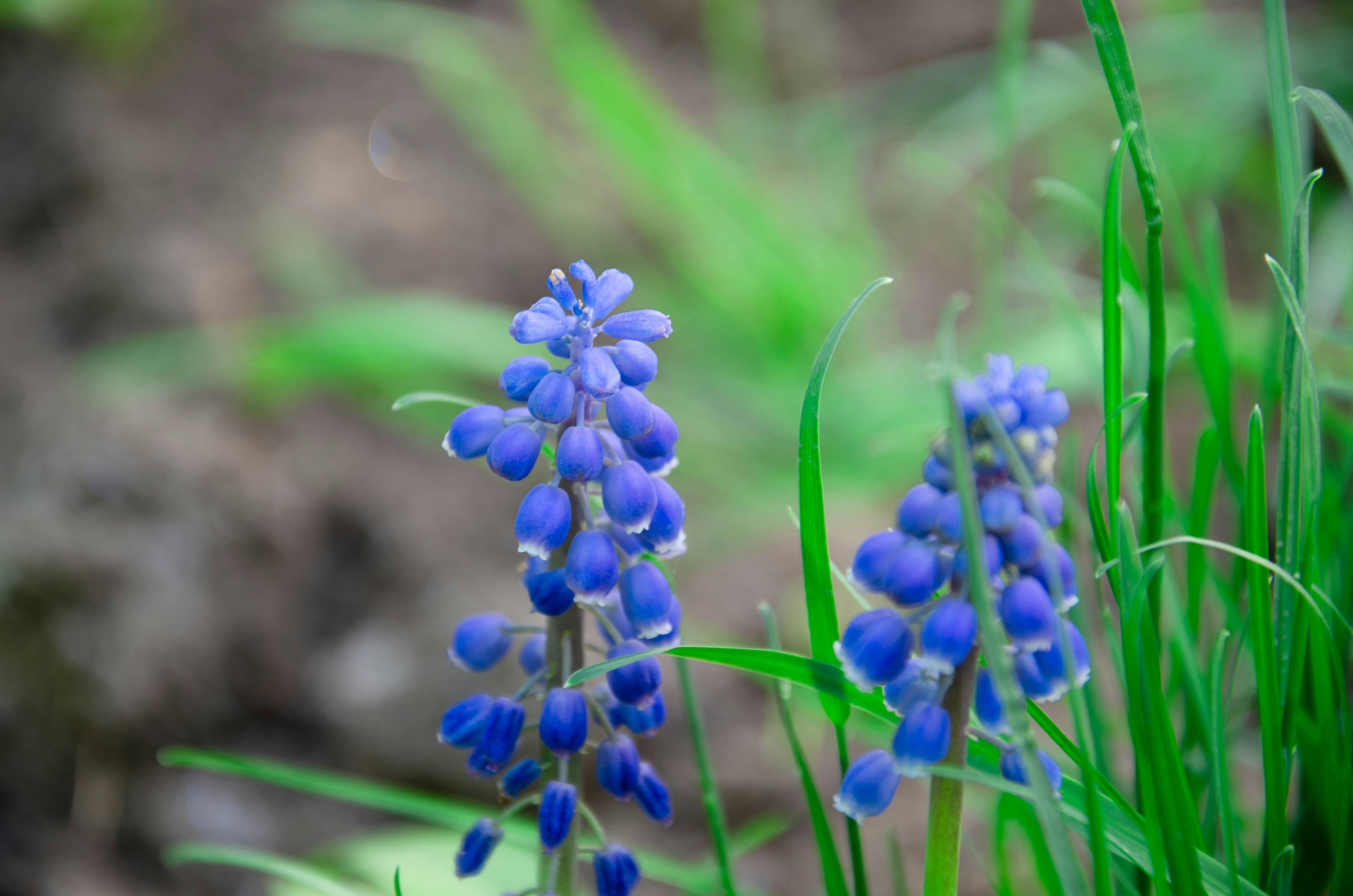 Photo by karyna_panchenko