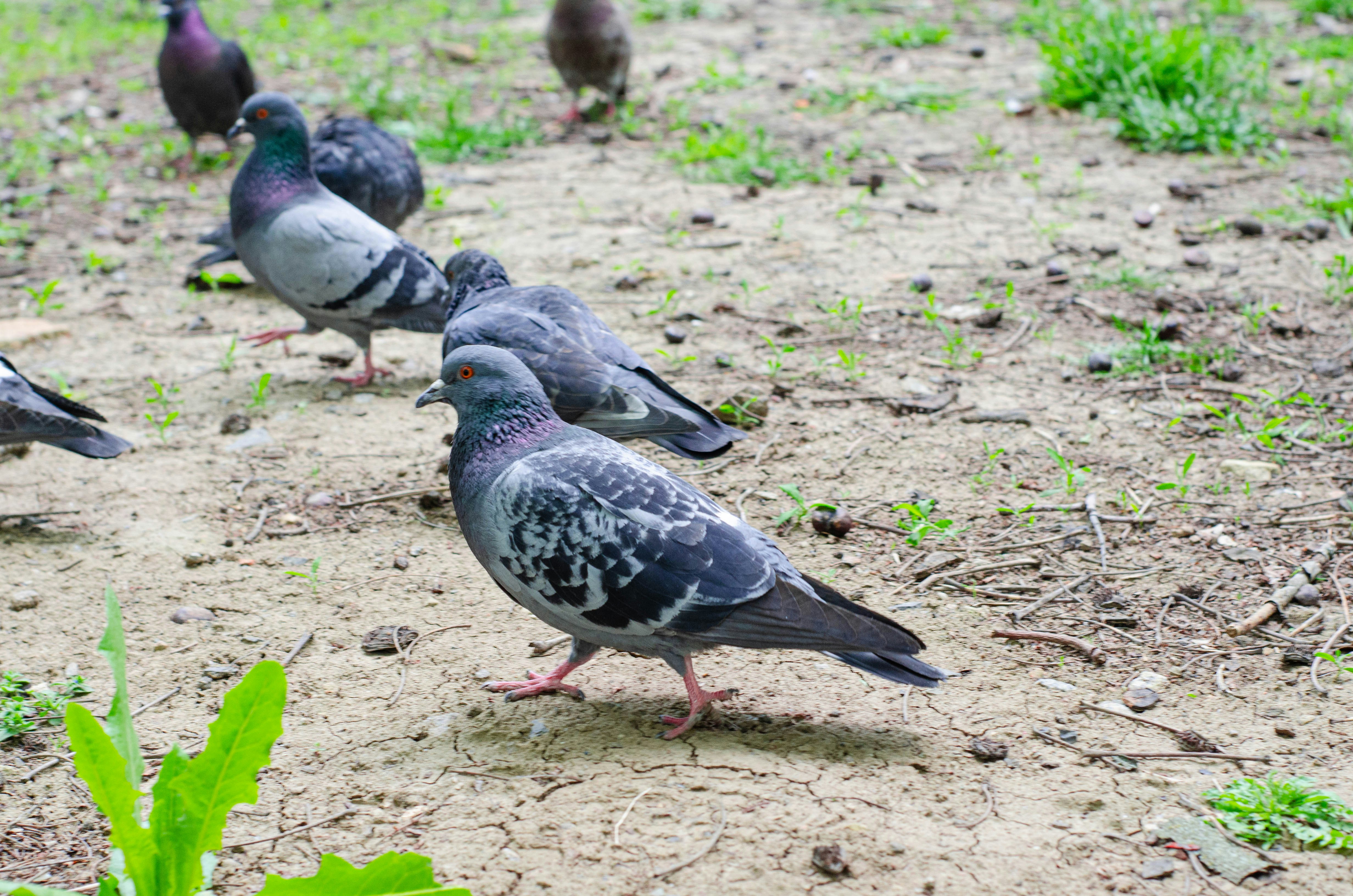 Photo by karyna_panchenko