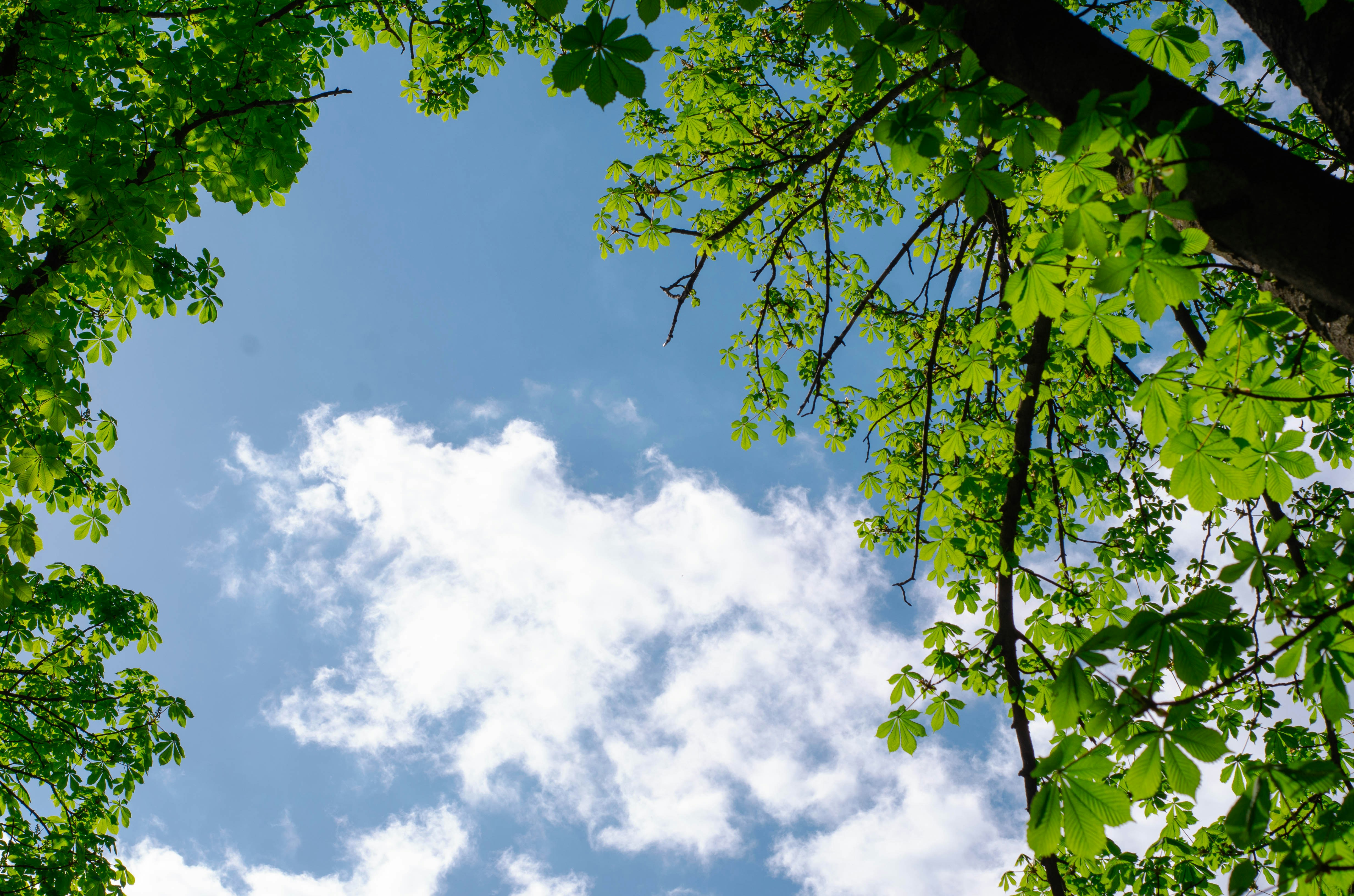 Photo by karyna_panchenko