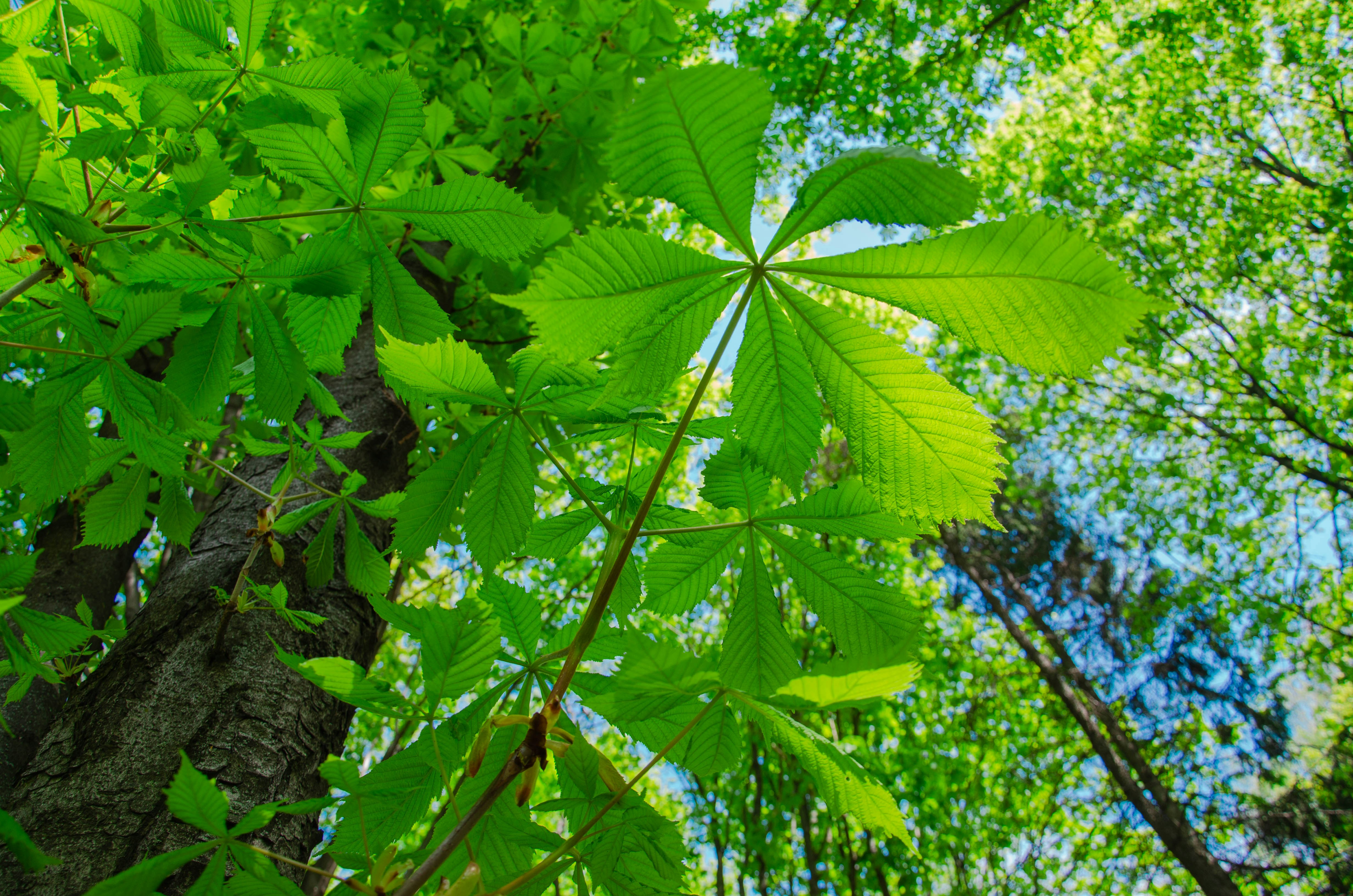 Photo by karyna_panchenko