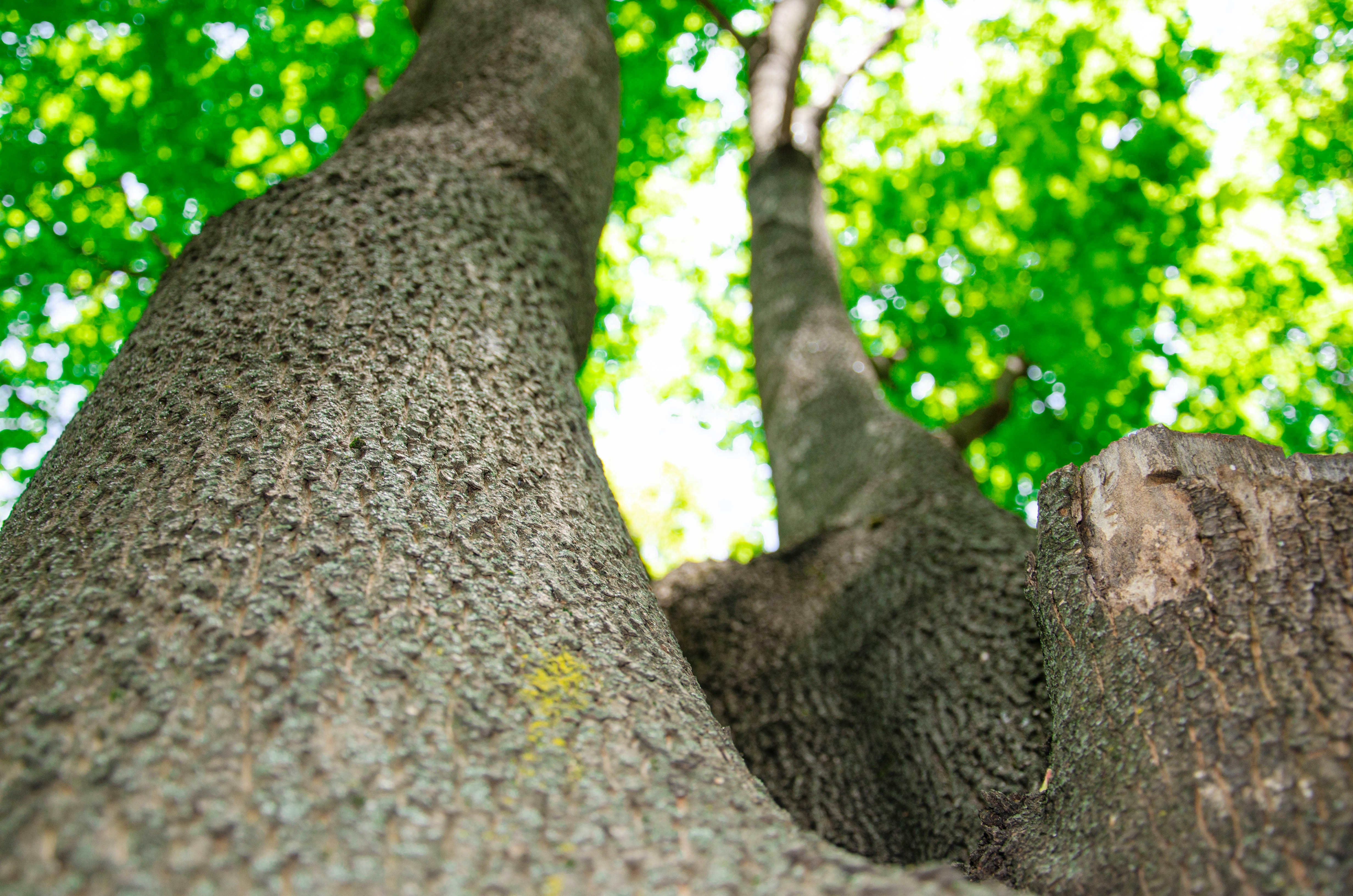 Photo by karyna_panchenko