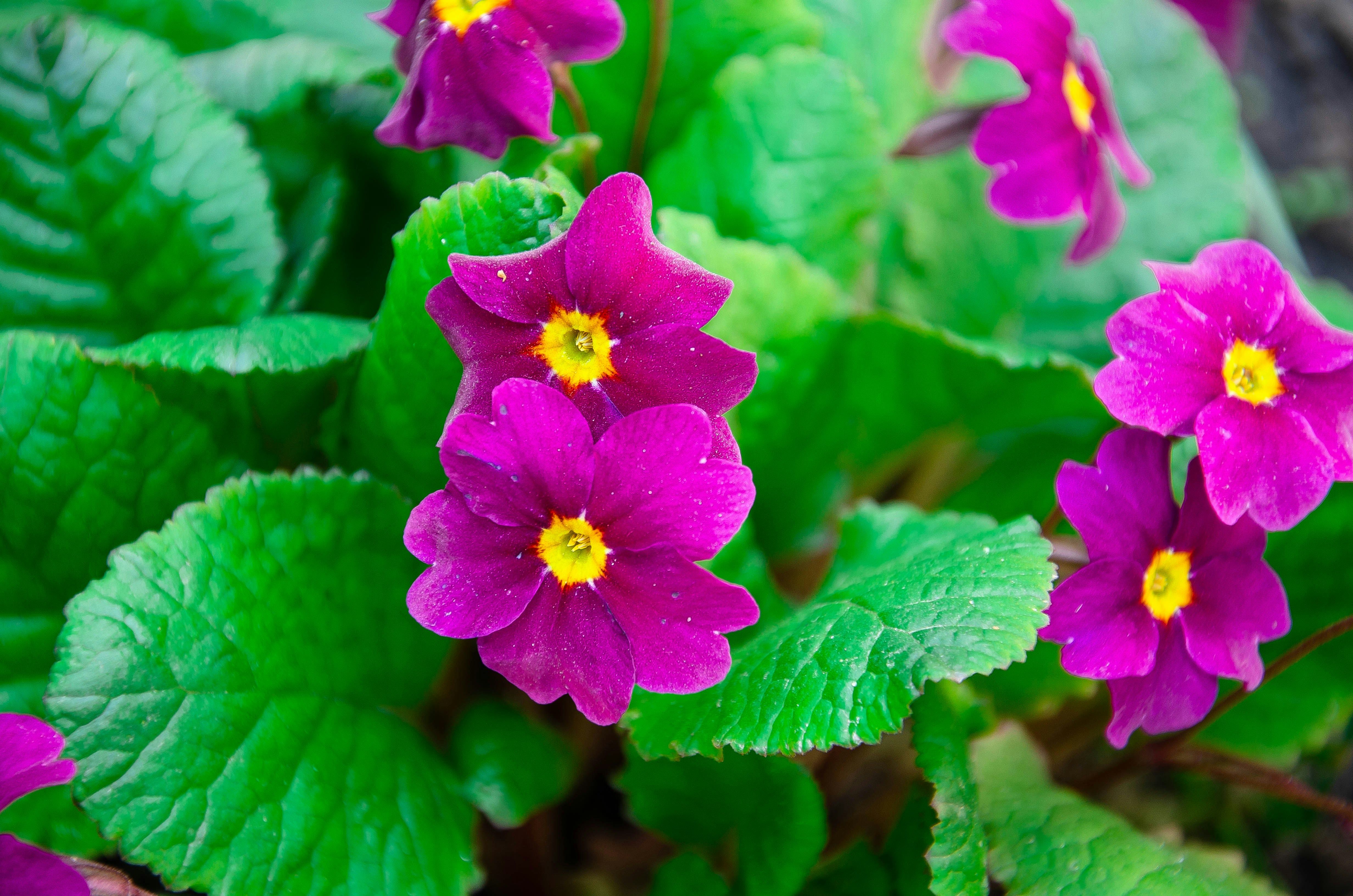 Photo by karyna_panchenko