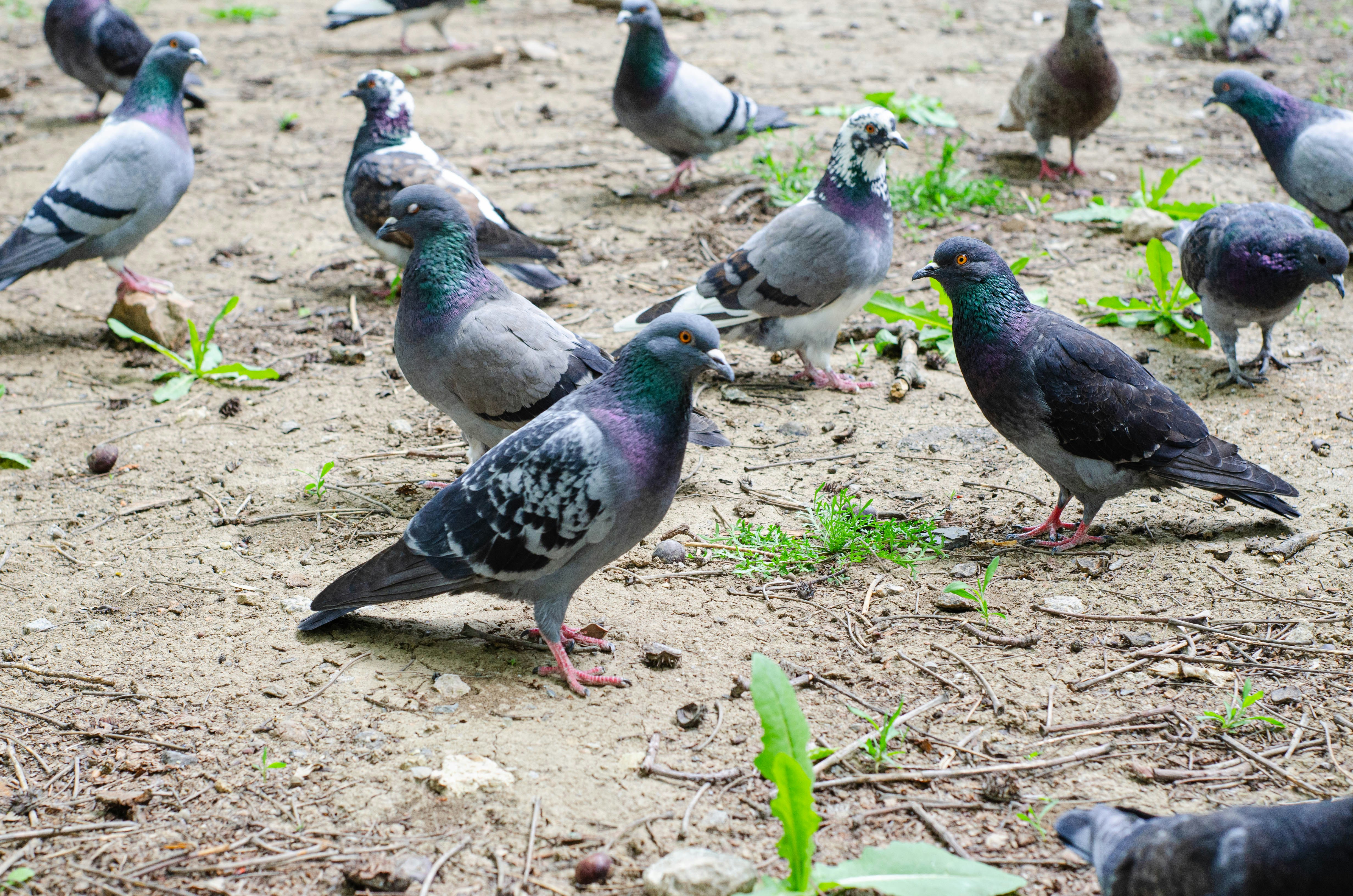 Photo by karyna_panchenko