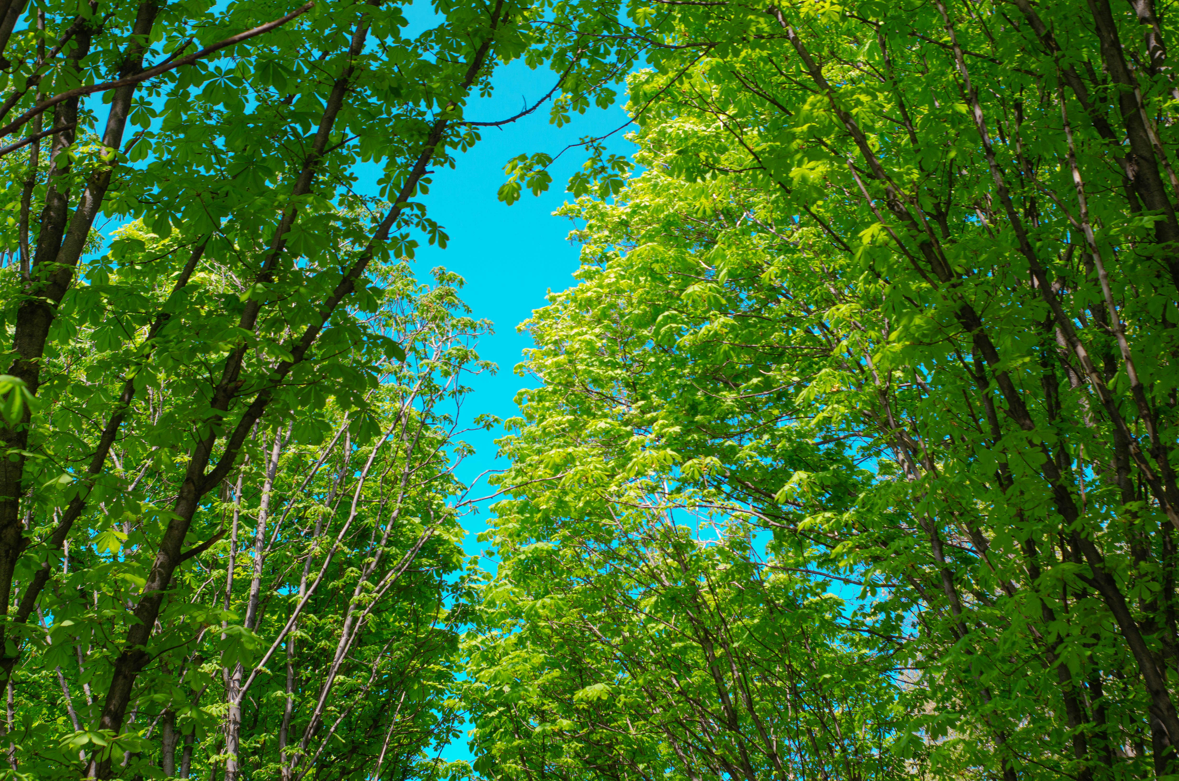 Photo by karyna_panchenko