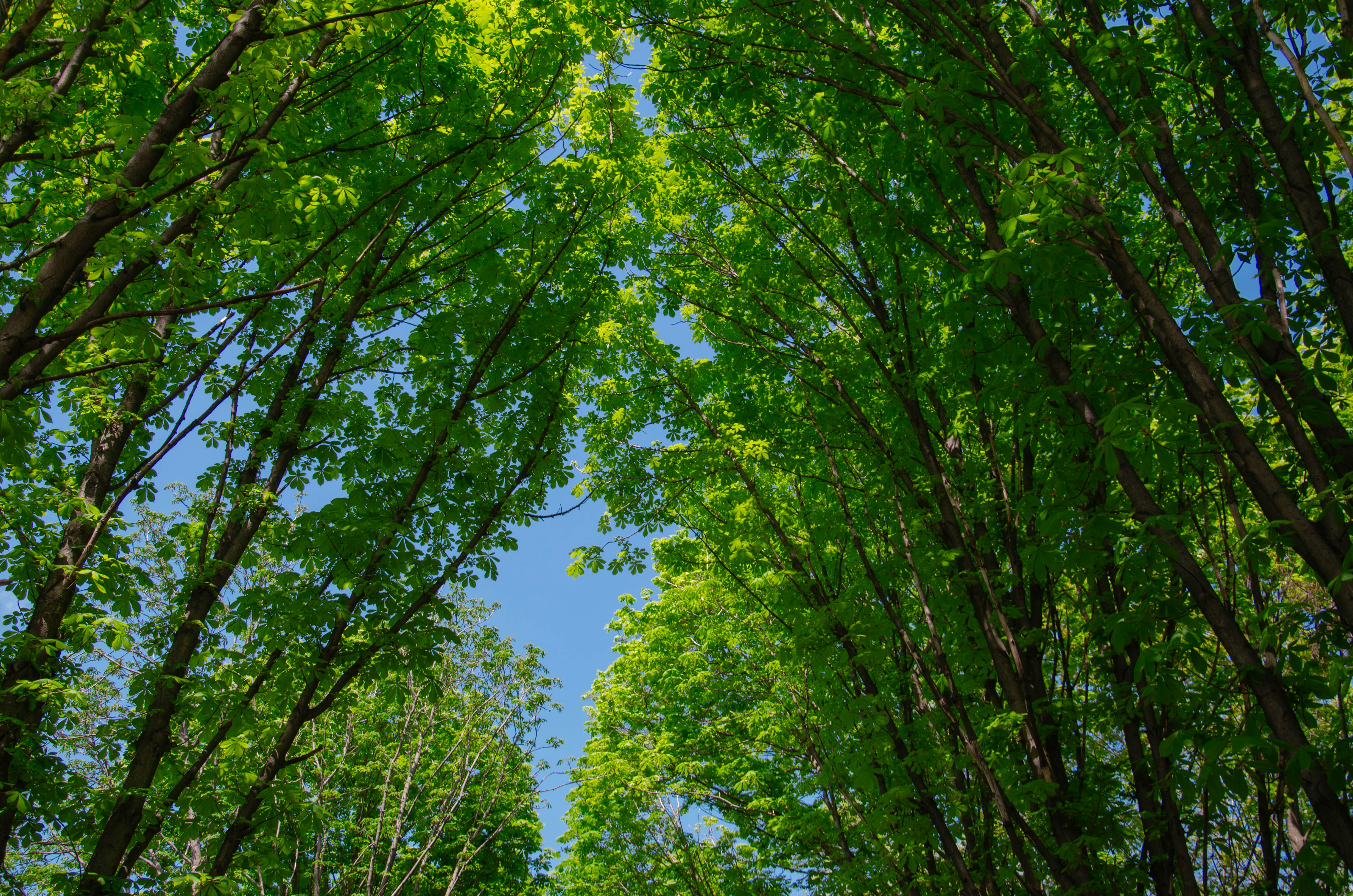 Photo by karyna_panchenko