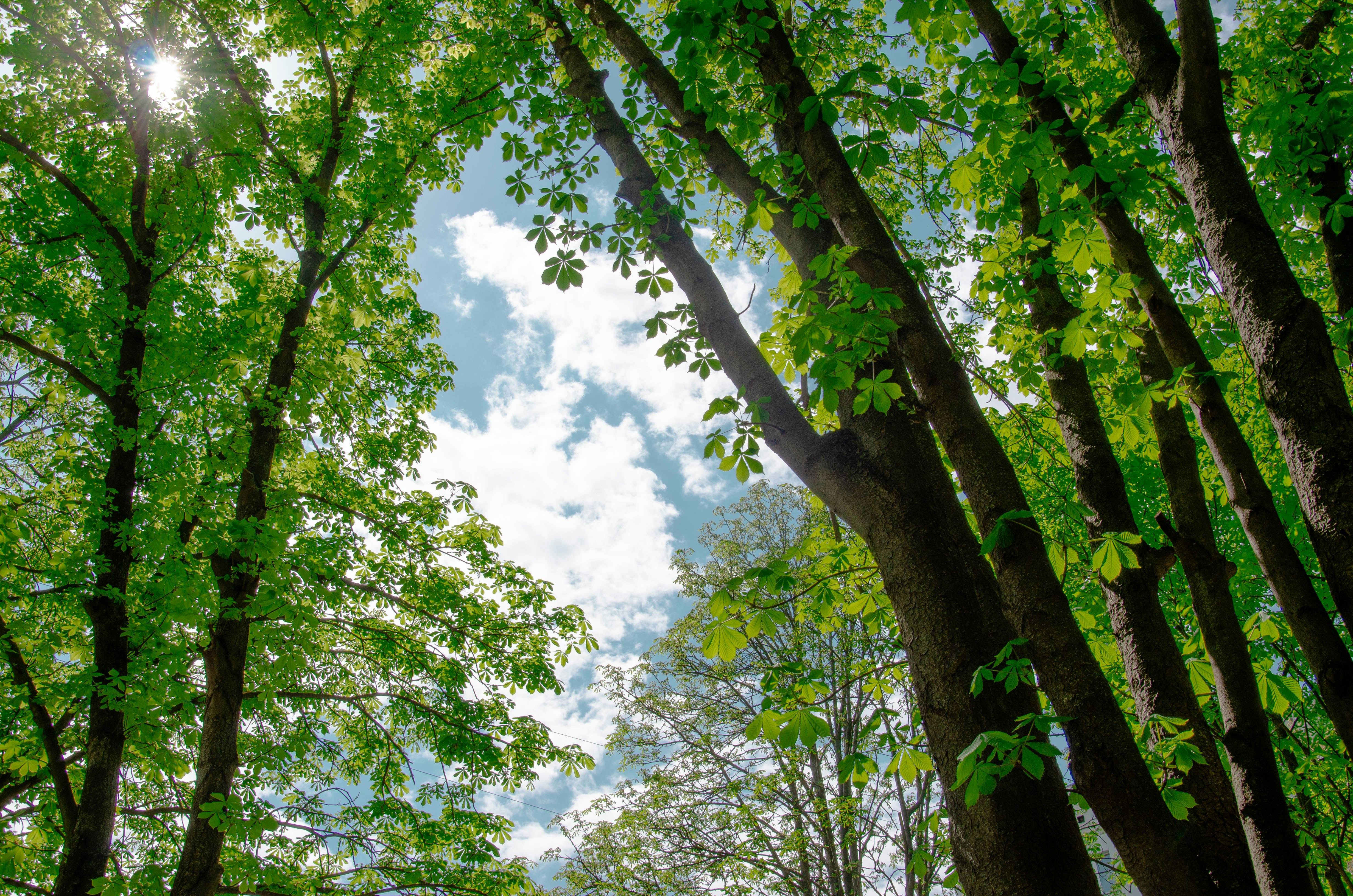 Photo by karyna_panchenko