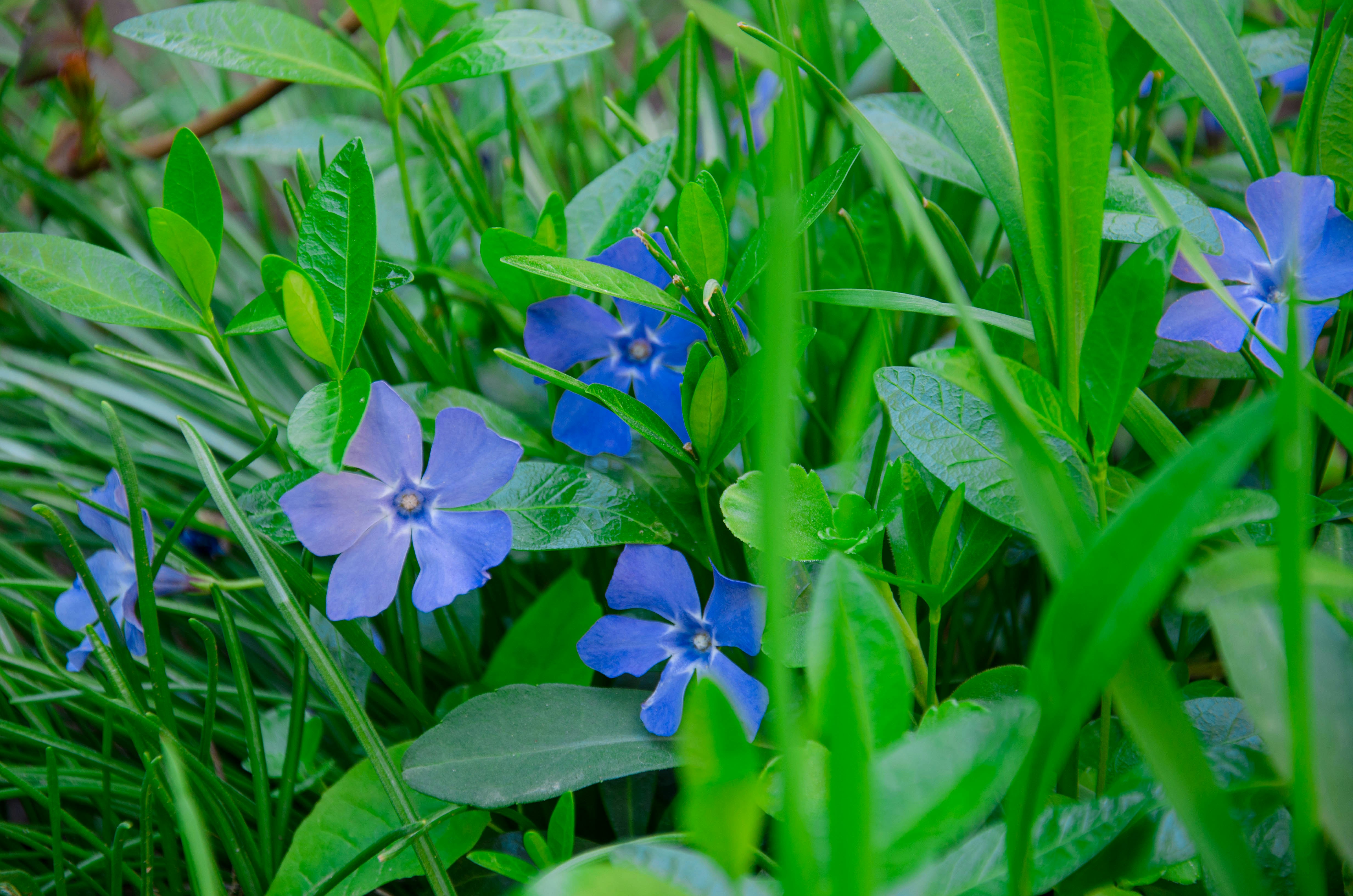 Photo by karyna_panchenko