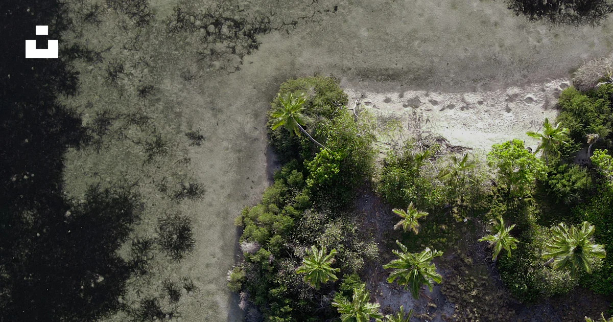 A river with trees and grass photo – Free Maldives Image on Unsplash