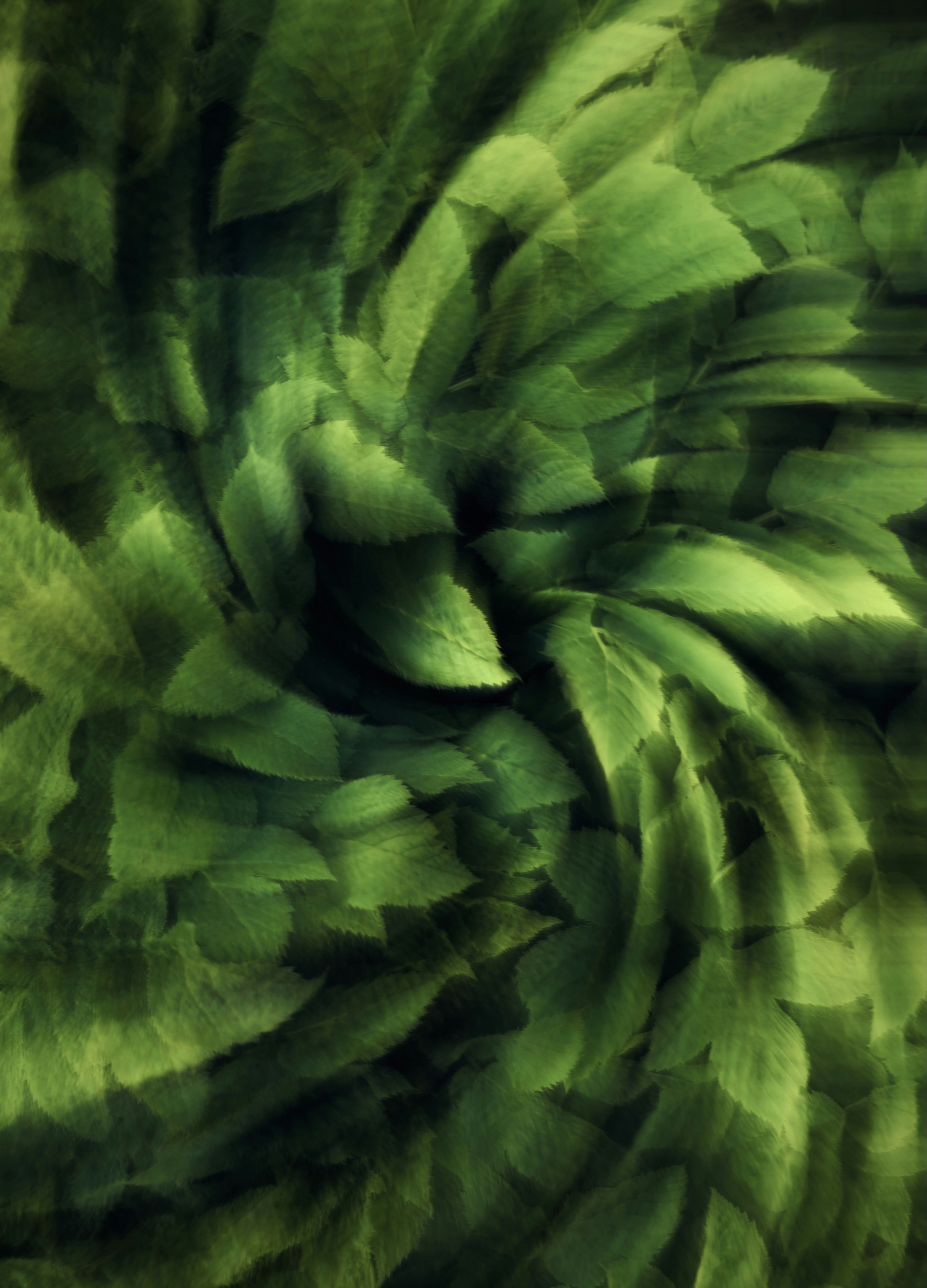 Photo by eugene_golovesov