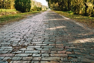 a cobblestone road with trees on either side of it