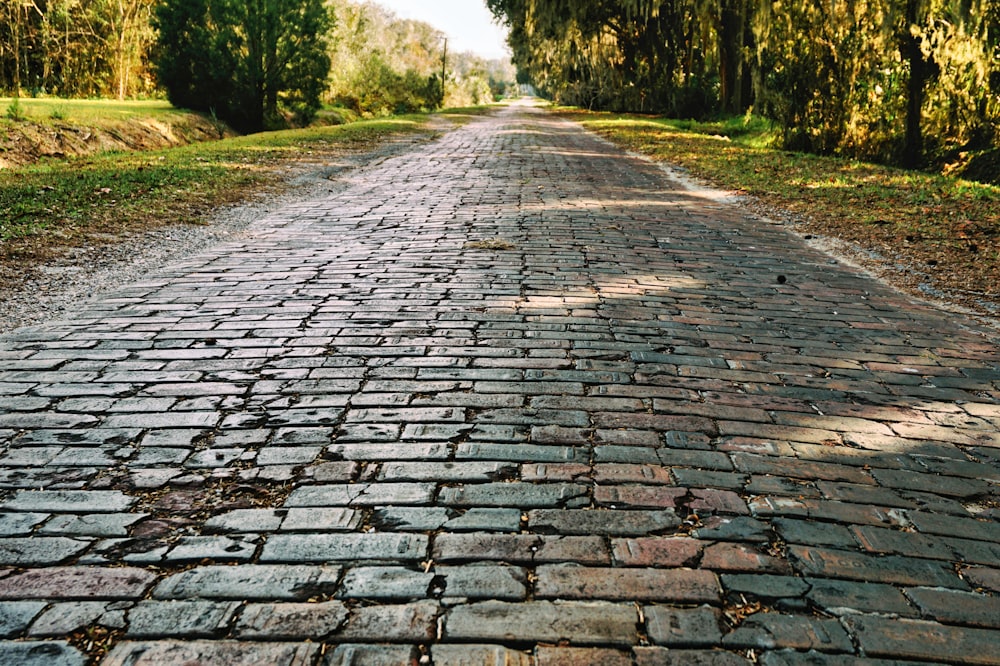 a cobblestone road with trees on either side of it