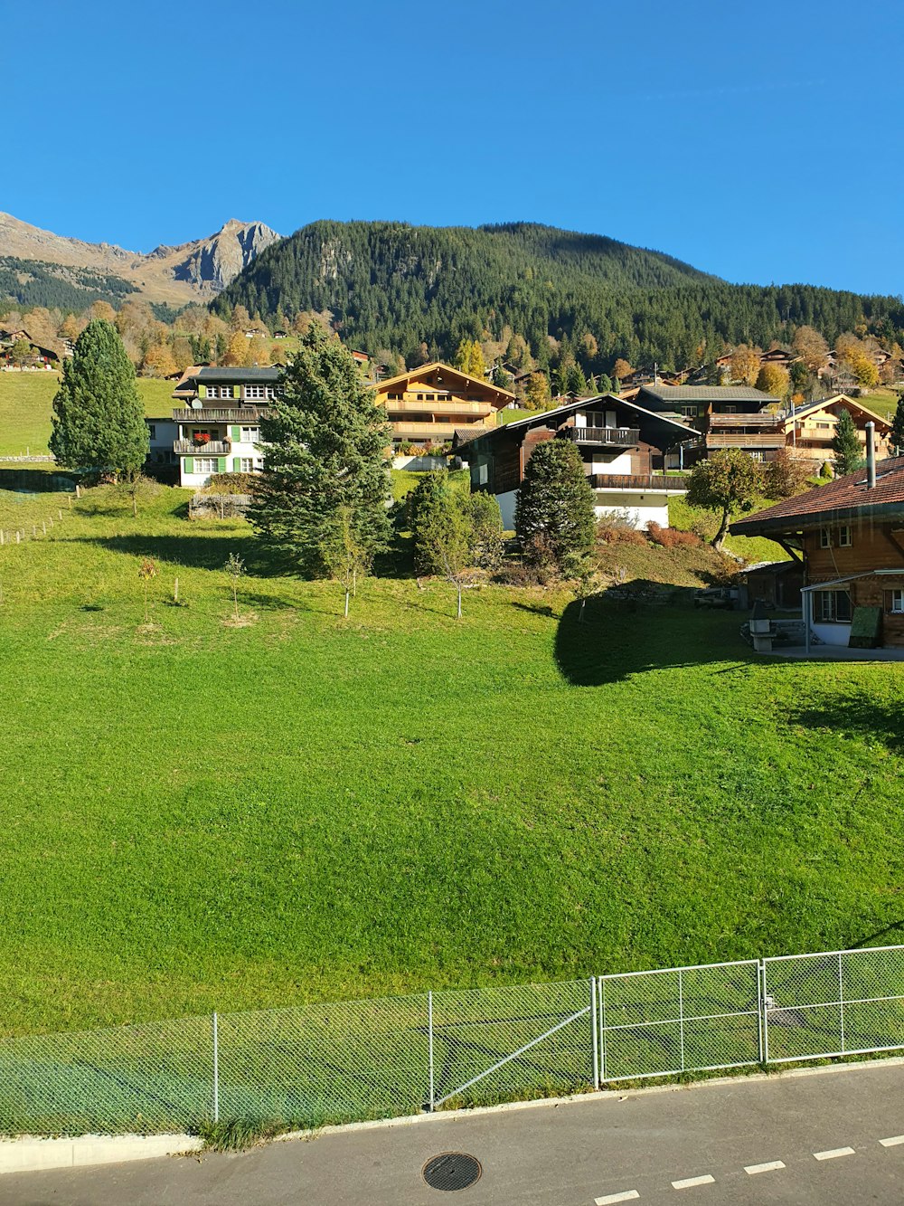 a green field with houses and trees