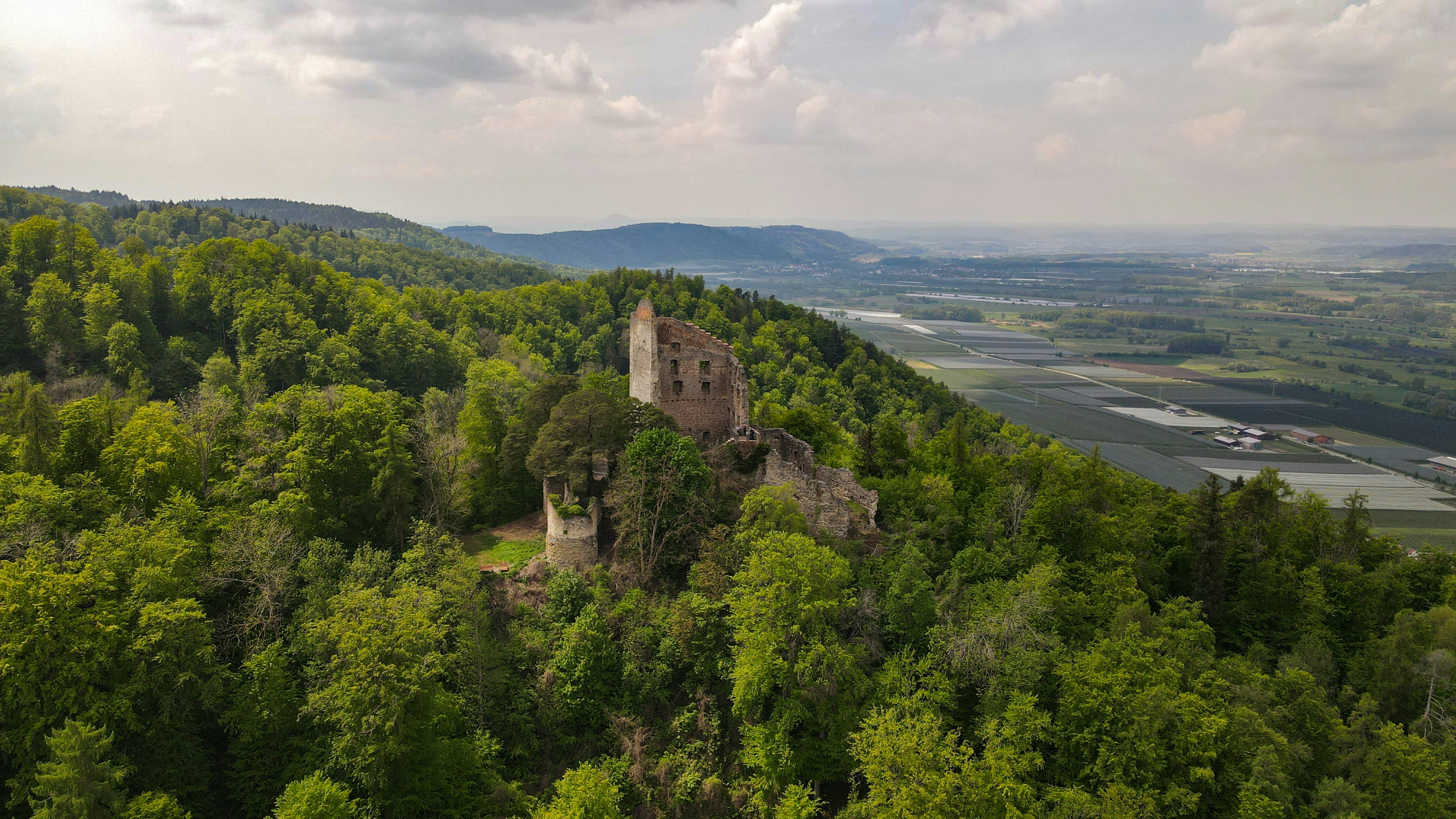 Photo by patrickschreiber