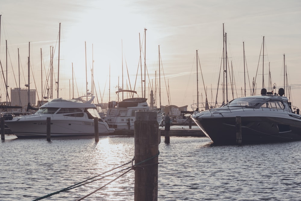 boats docked at a pier