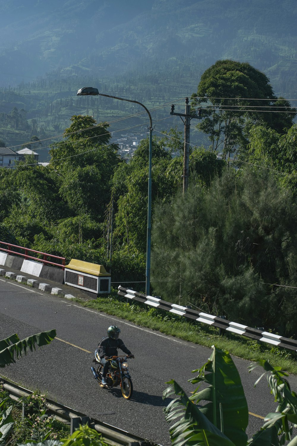a person riding a motorcycle on a road with trees on either side