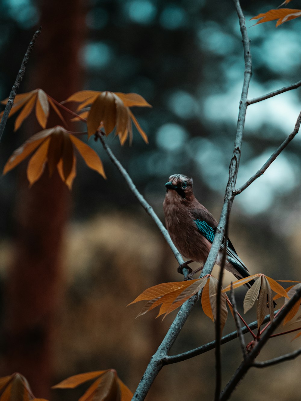 a bird sitting on a branch