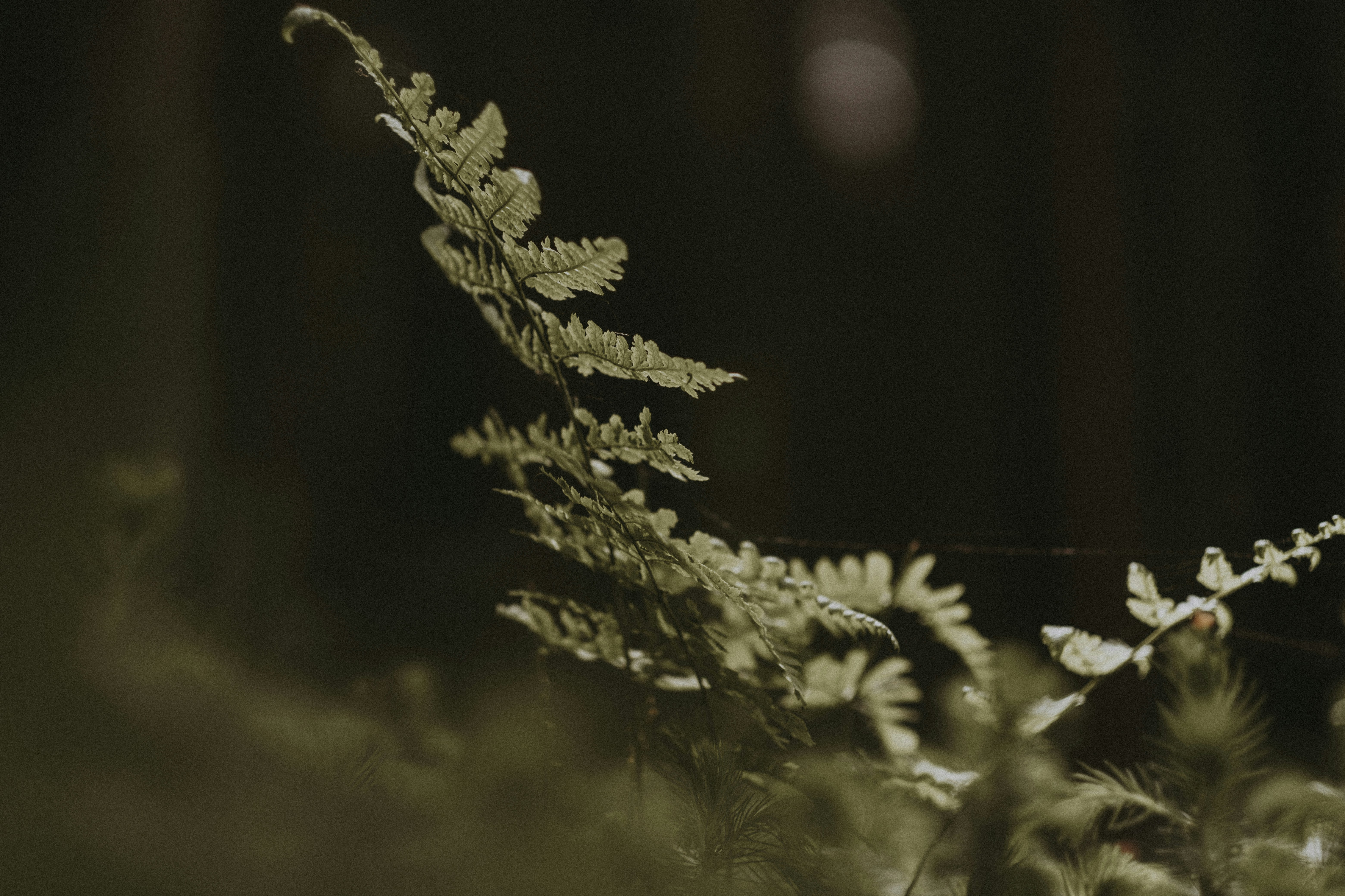 Photo by nadiacortellesi